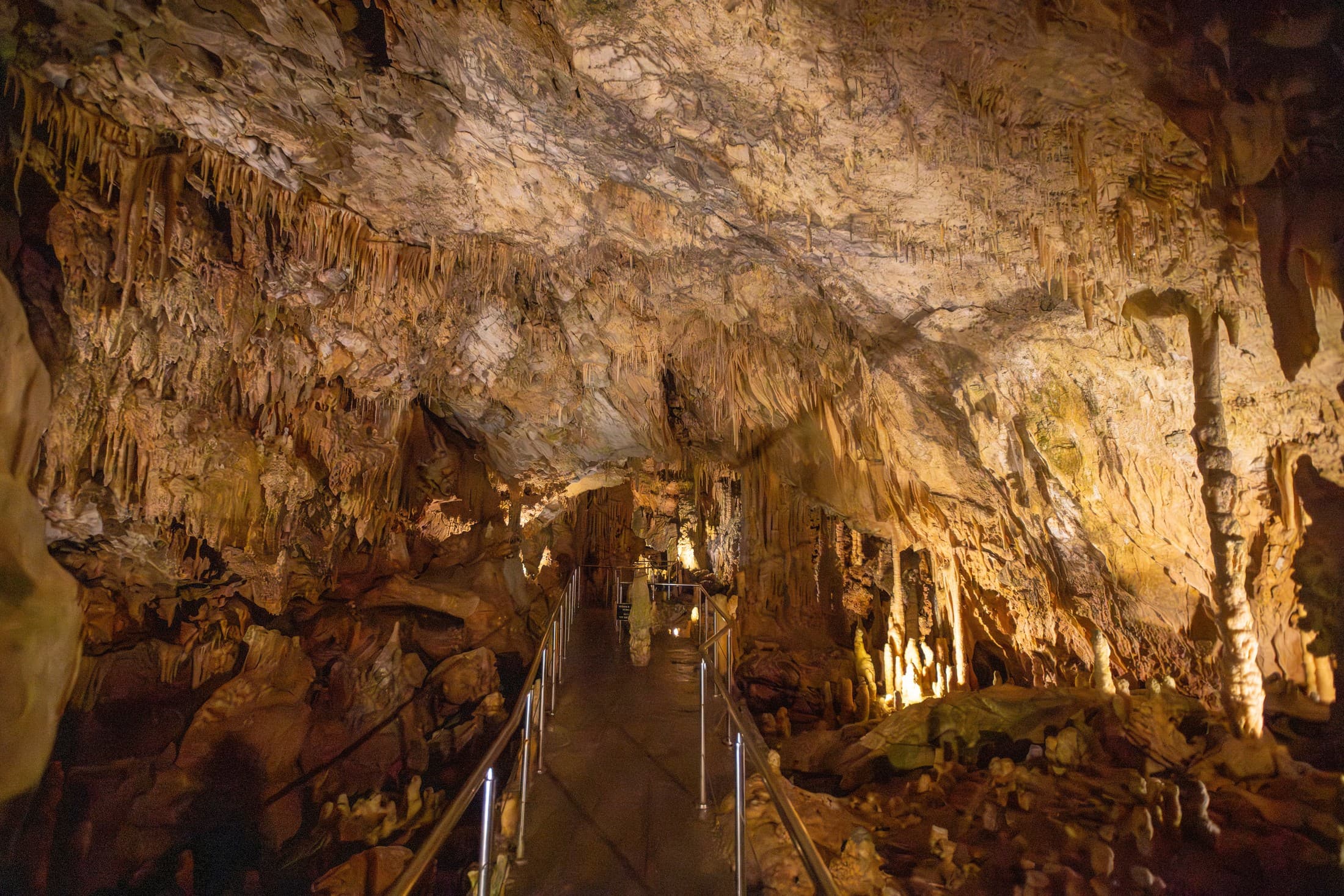 Alt text not provided