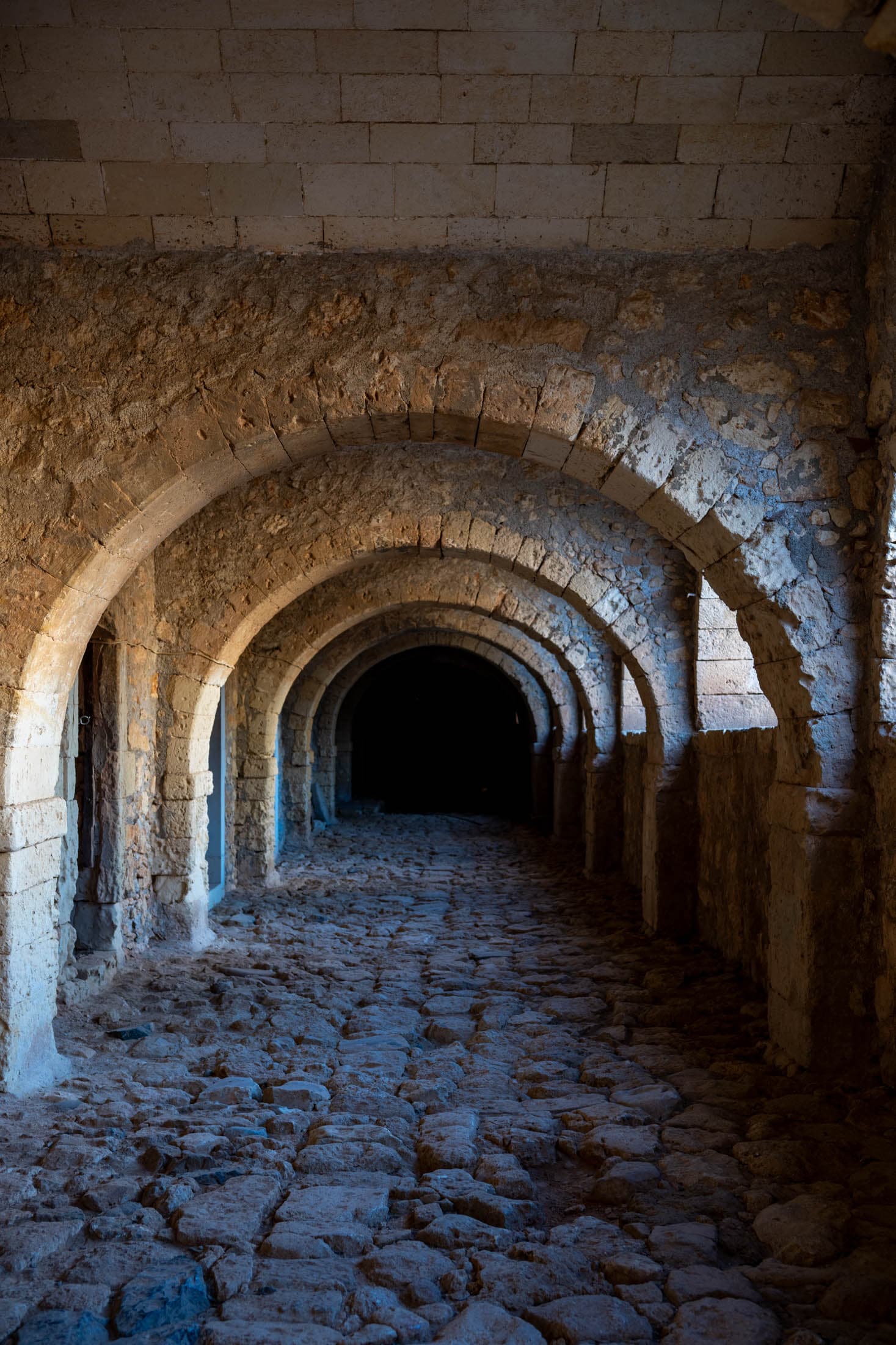 Alt text not provided