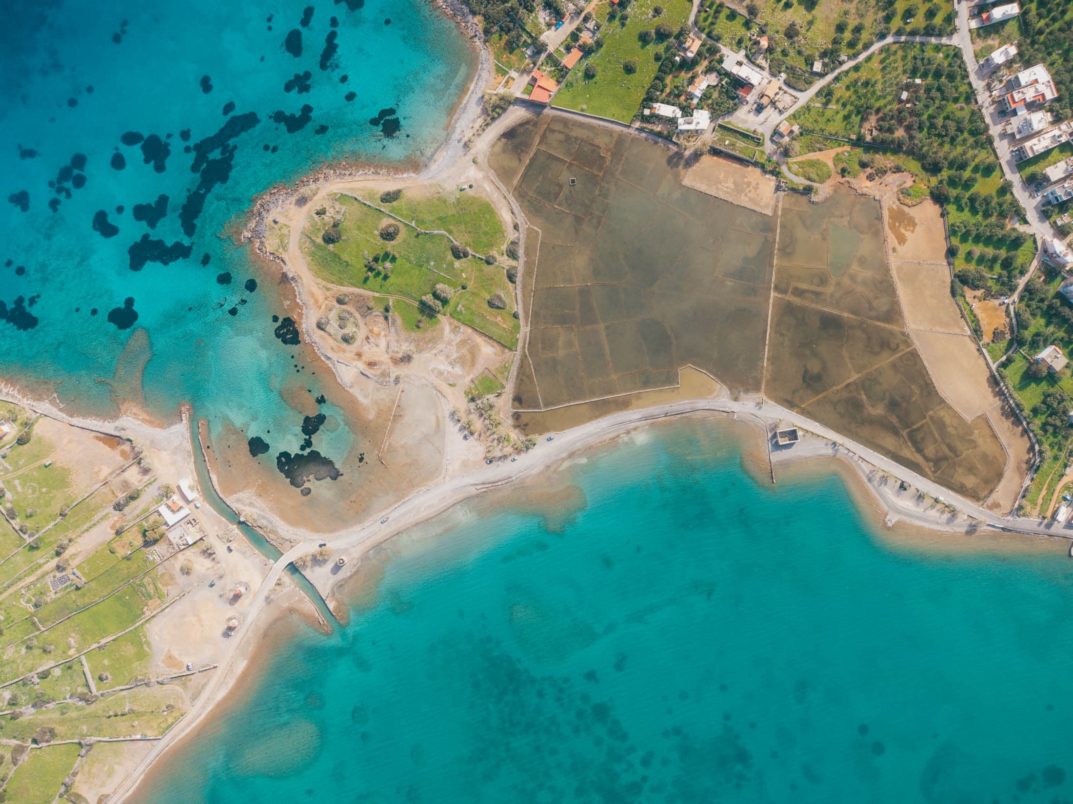 Alt text not provided