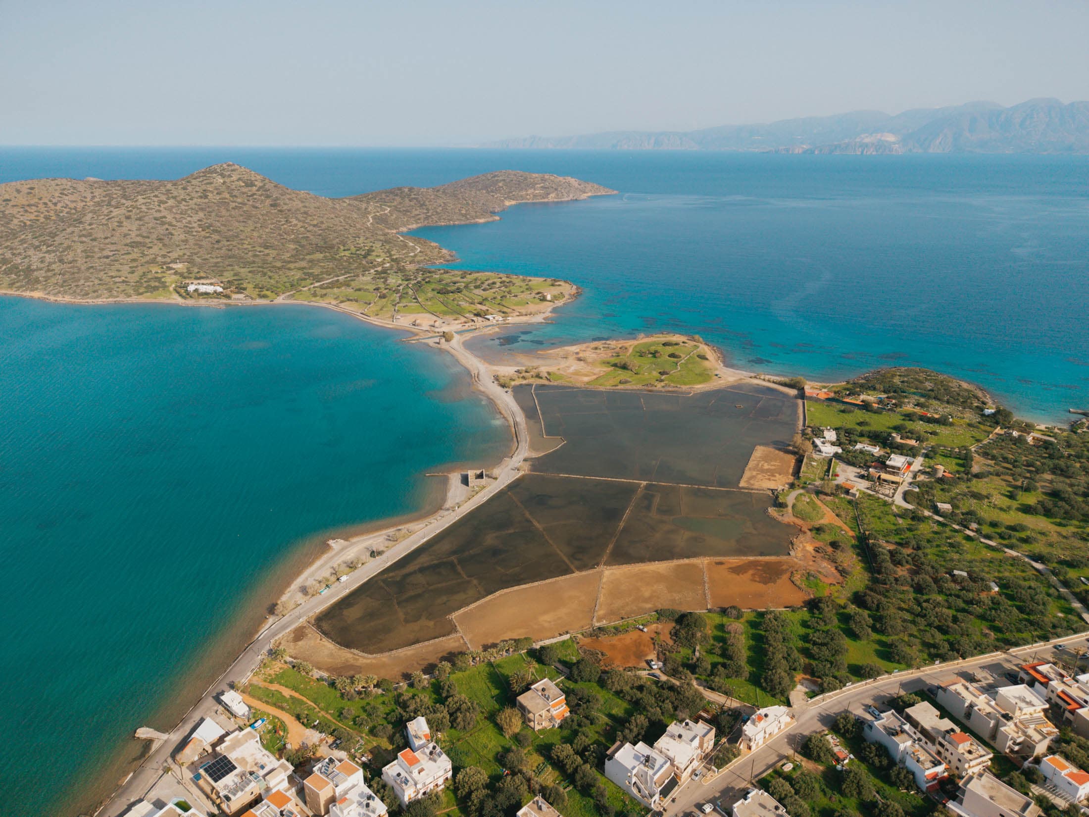 Alt text not provided