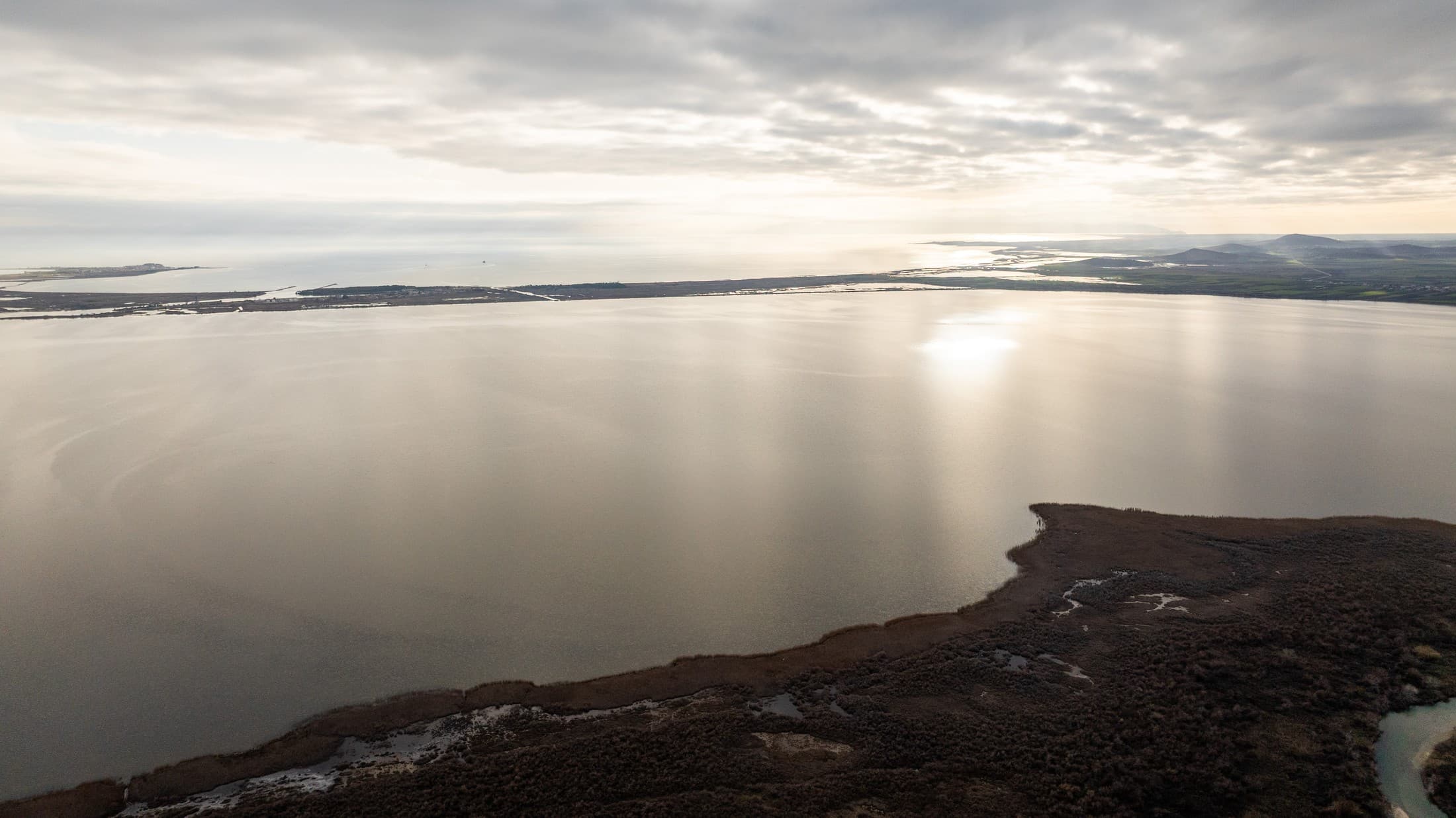 Alt text not provided