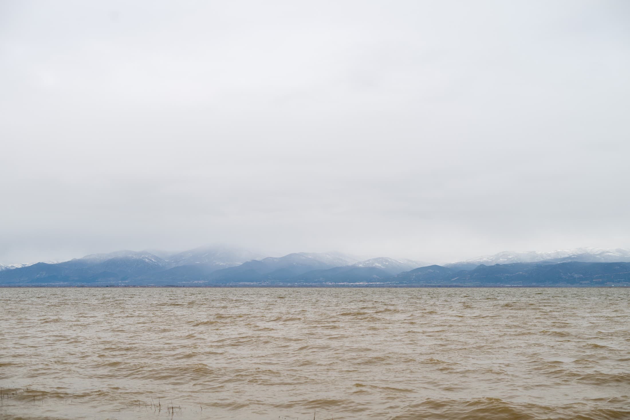 Alt text not provided