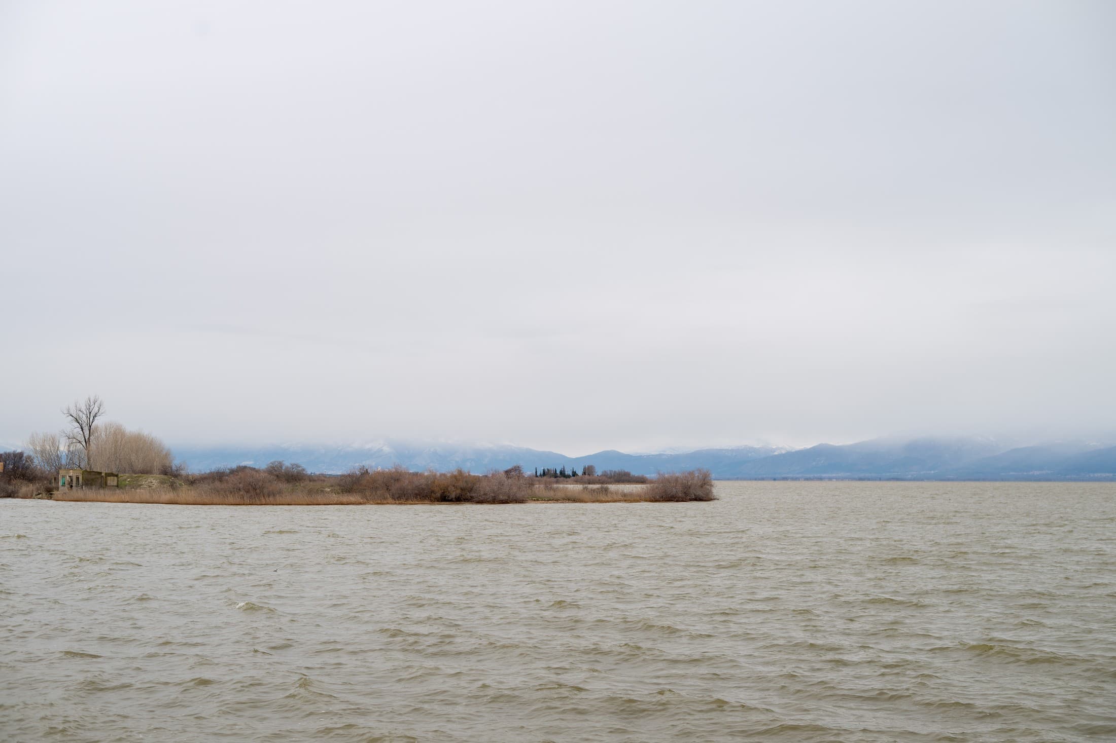 Alt text not provided