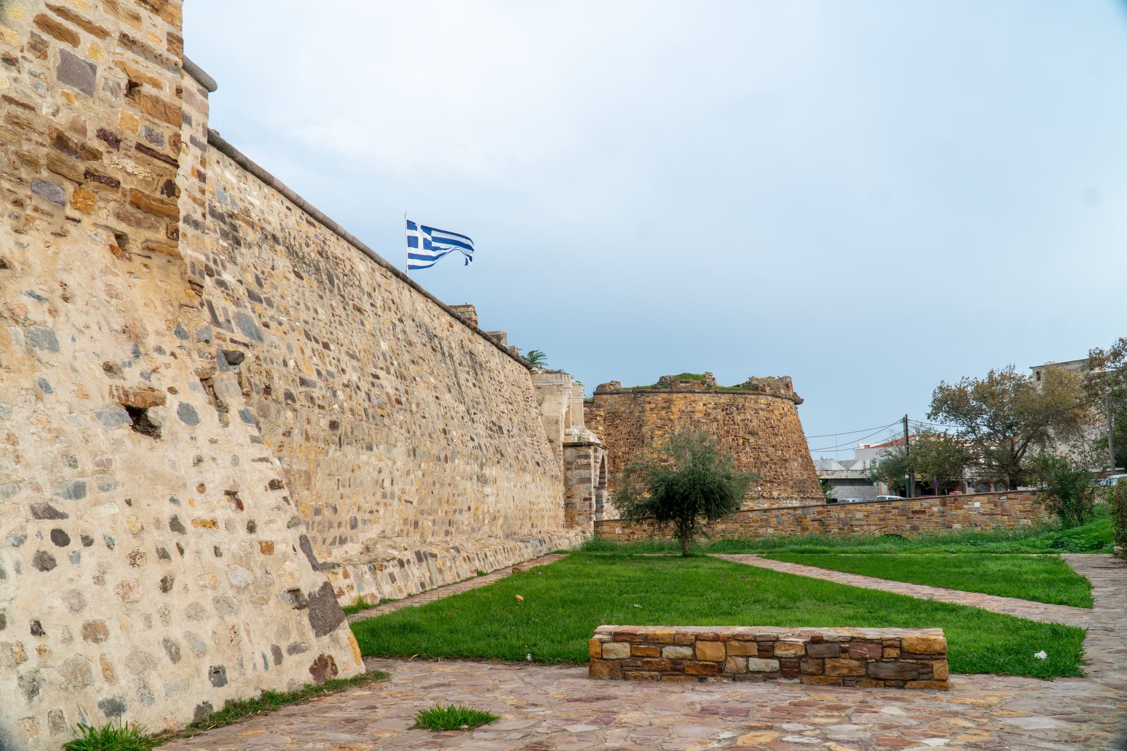 Alt text not provided