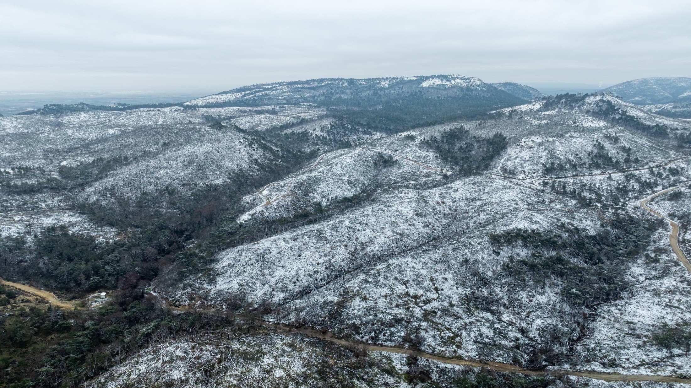 Alt text not provided