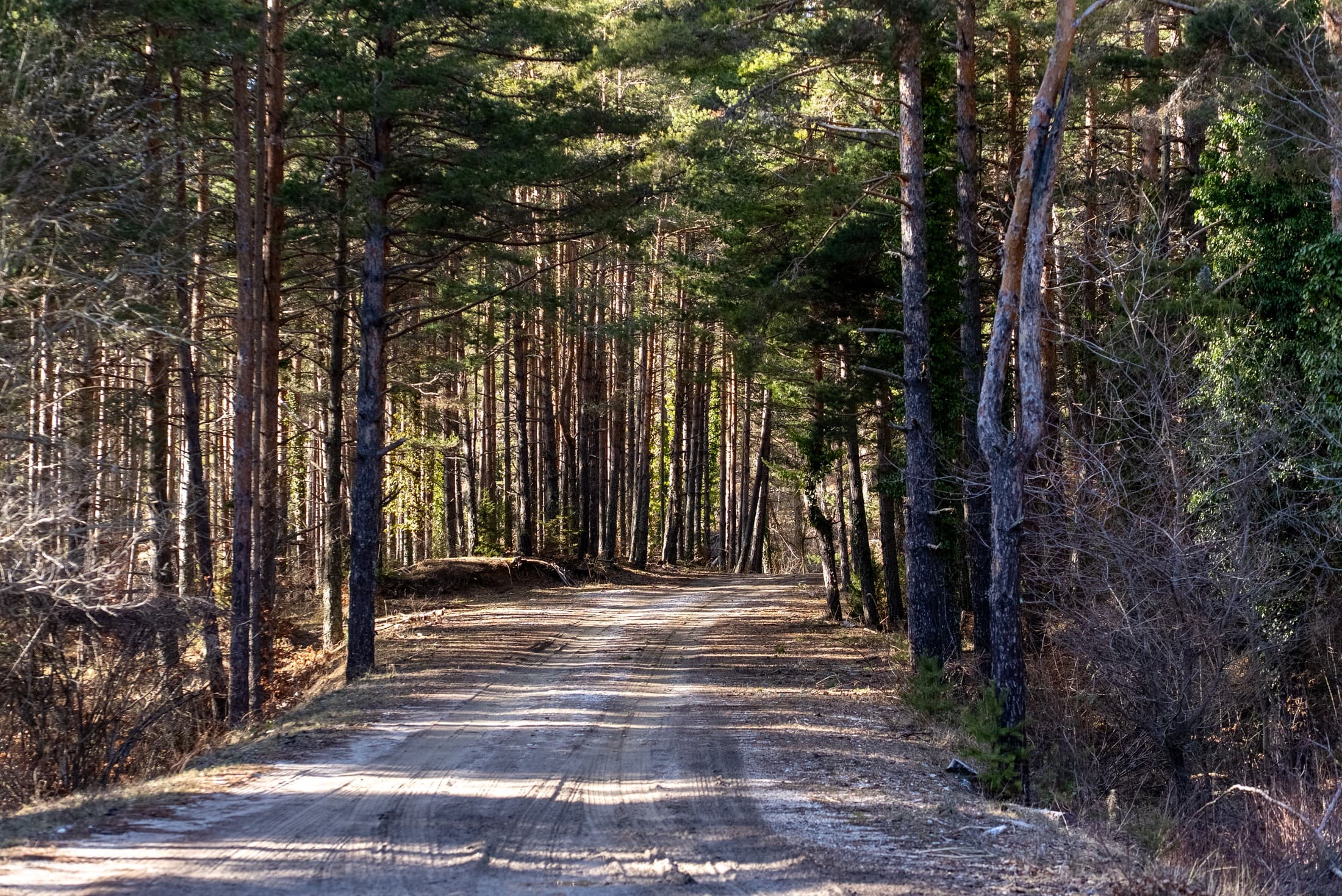 Alt text not provided