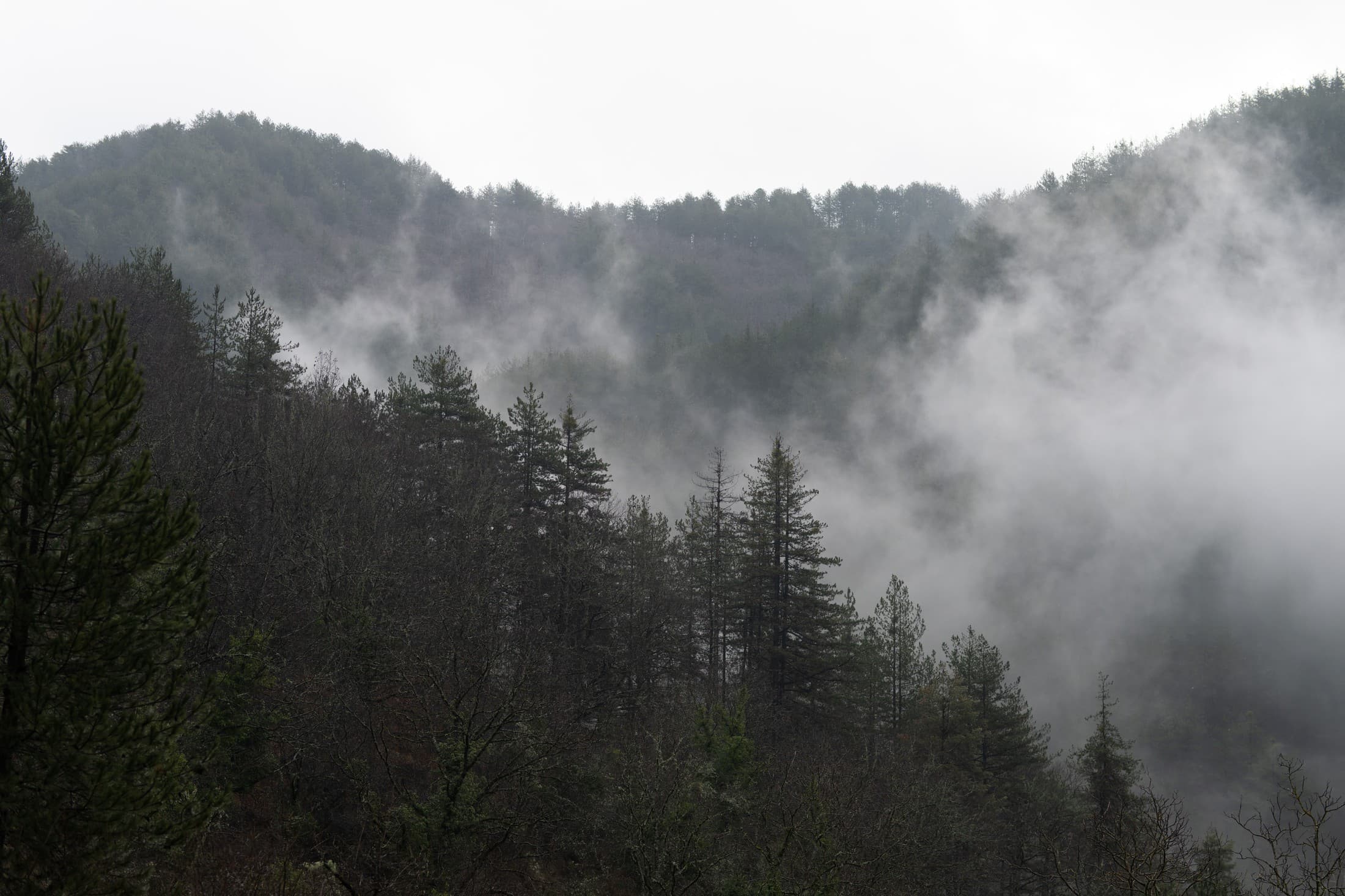 Alt text not provided