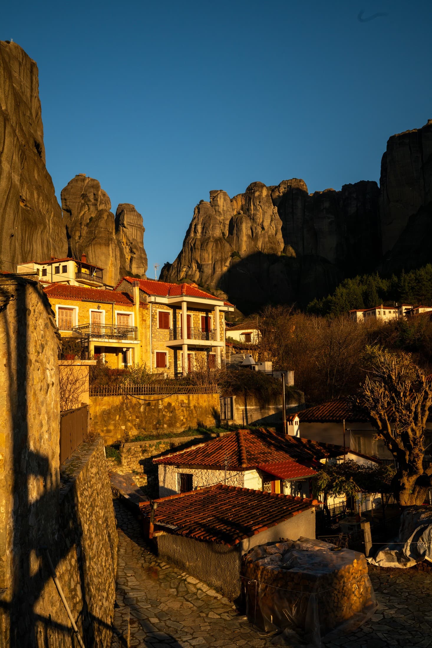 Alt text not provided