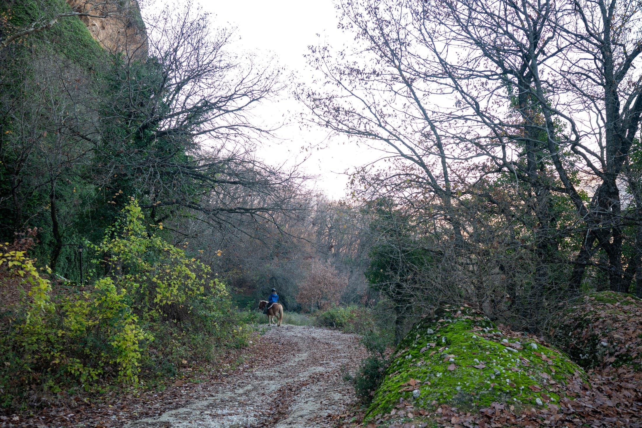 Alt text not provided