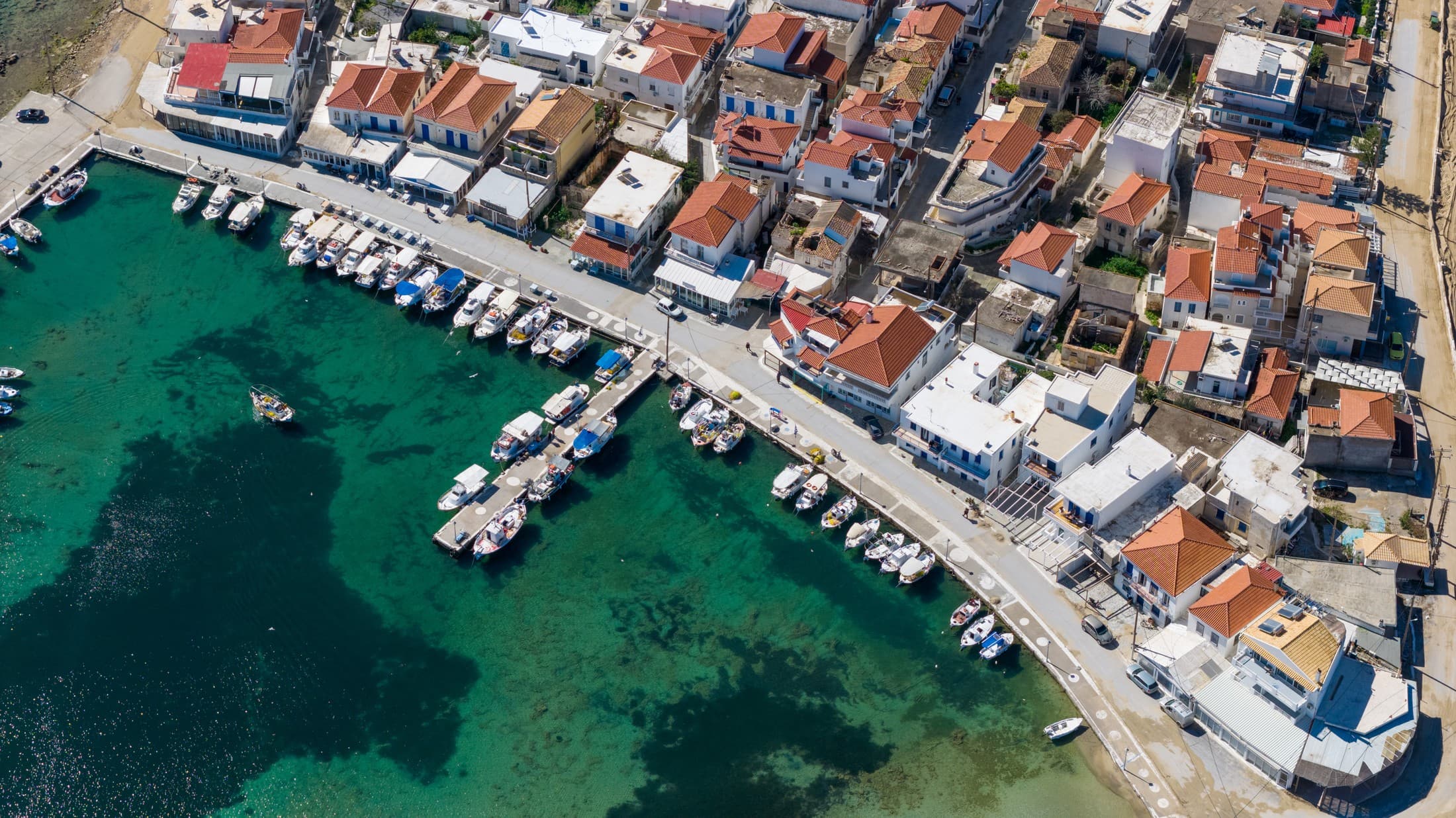 Alt text not provided