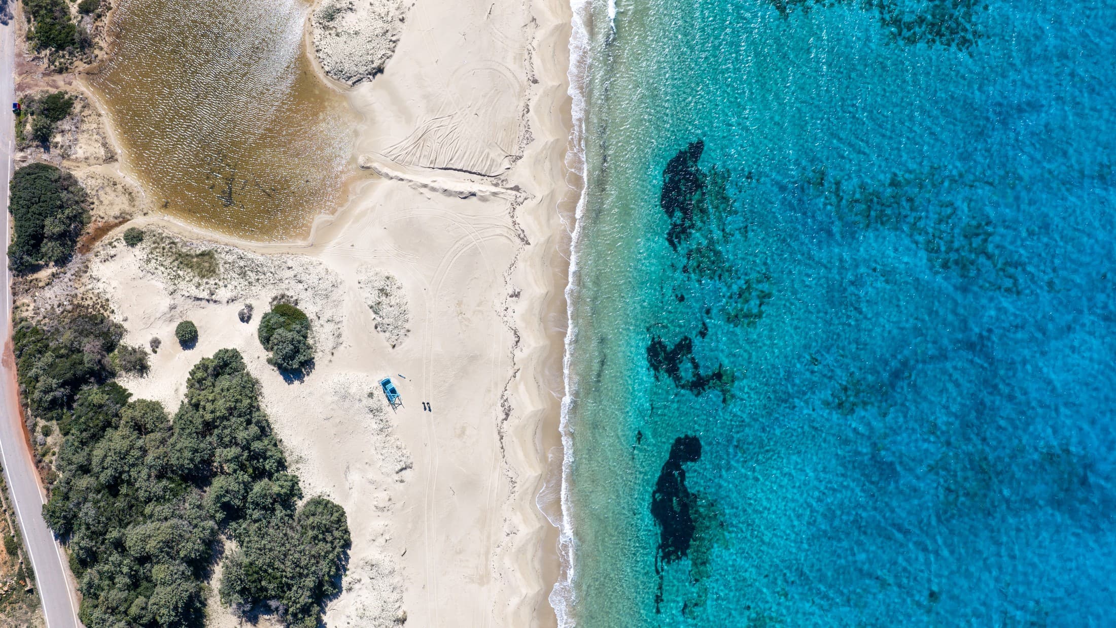 Alt text not provided