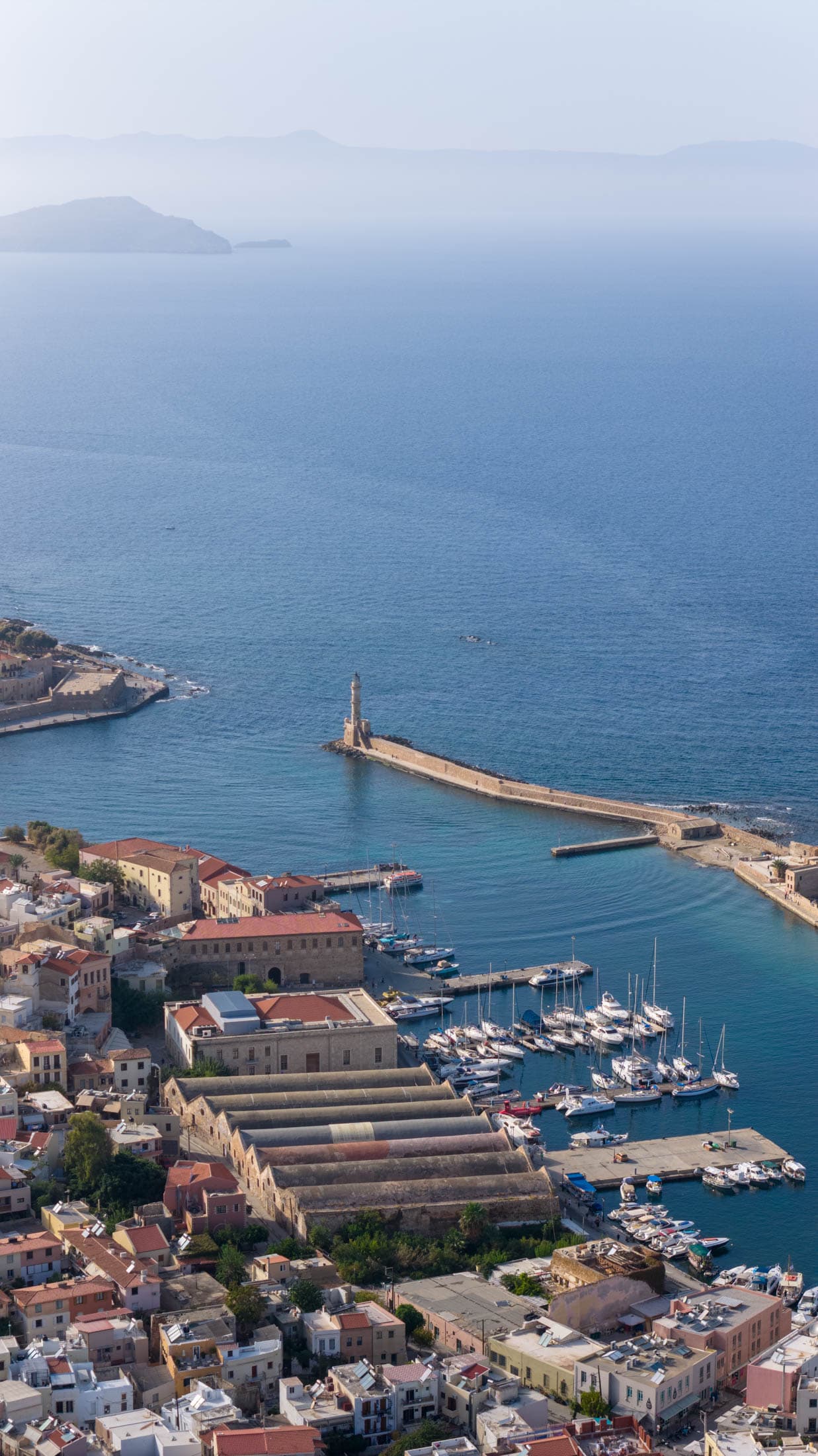 Alt text not provided