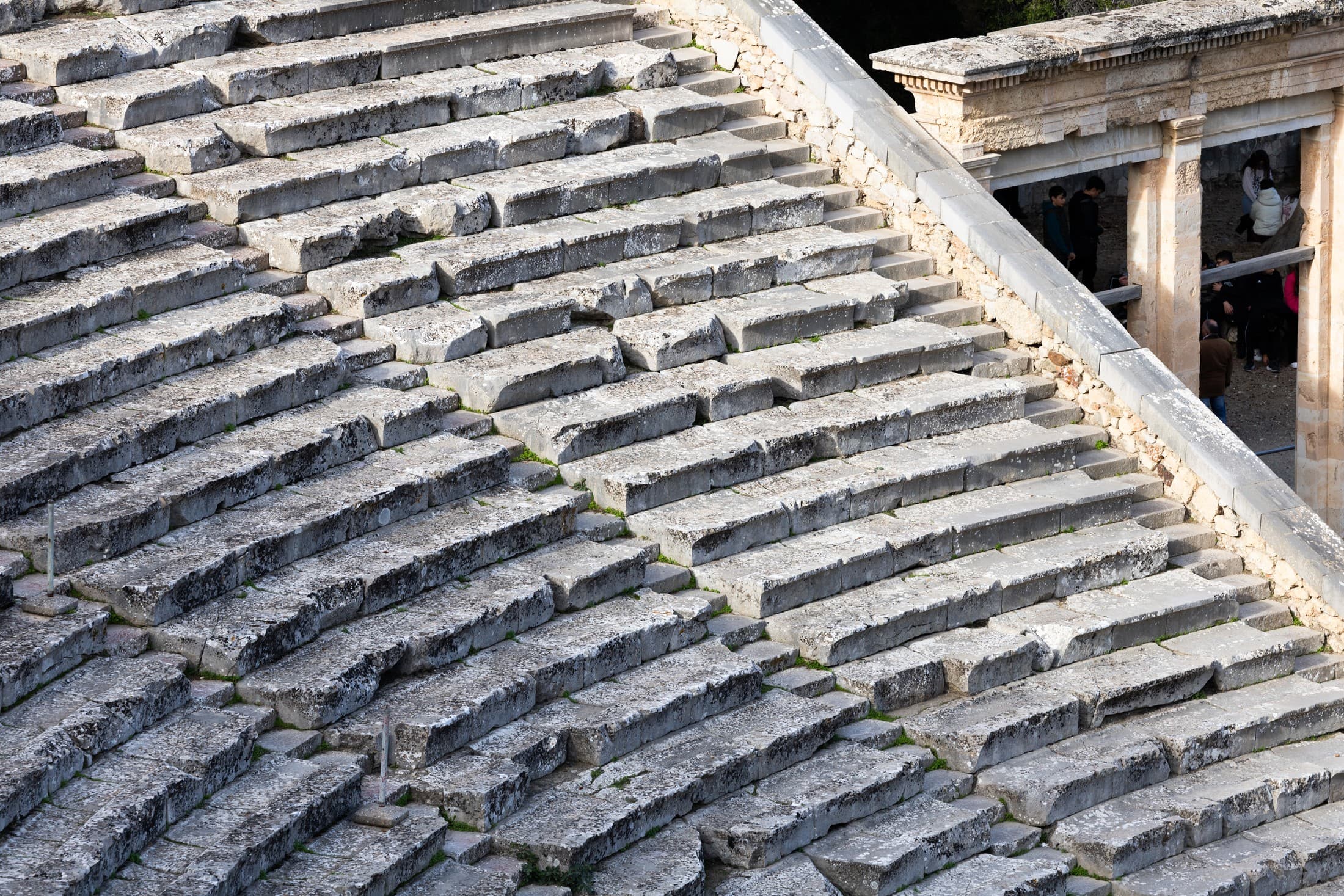 Alt text not provided