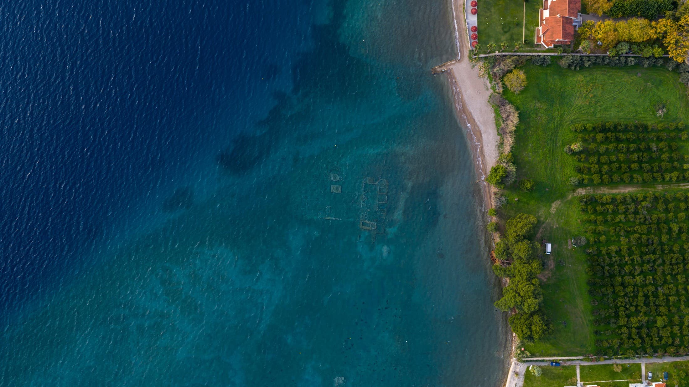 Alt text not provided