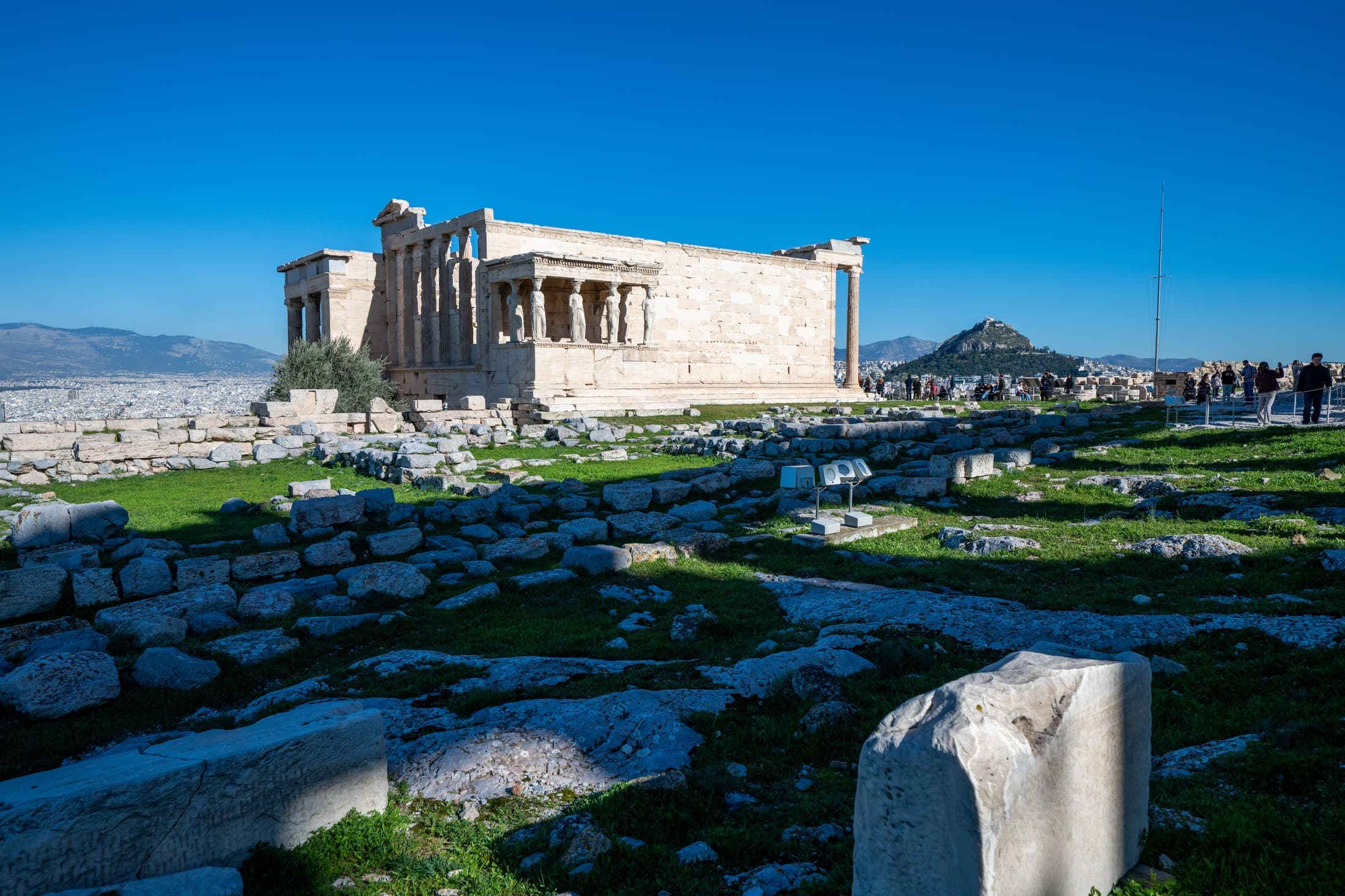 Alt text not provided