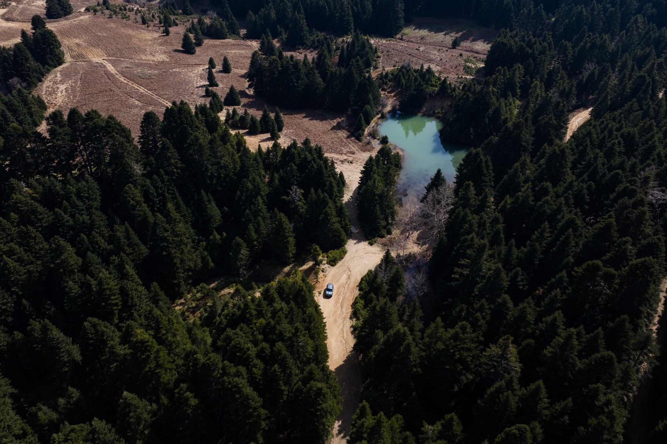 Alt text not provided