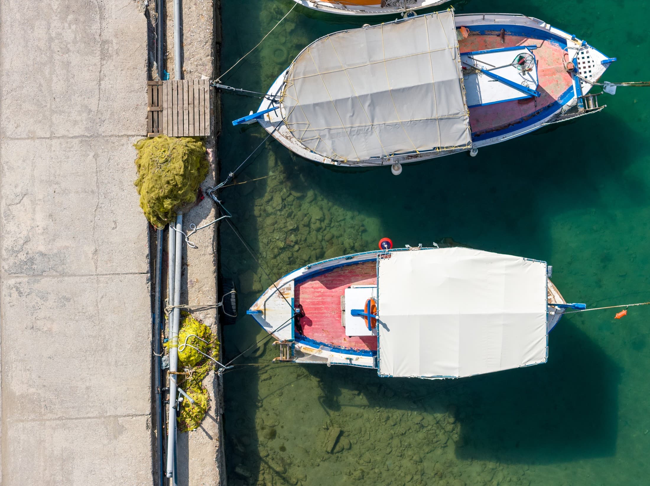 Alt text not provided