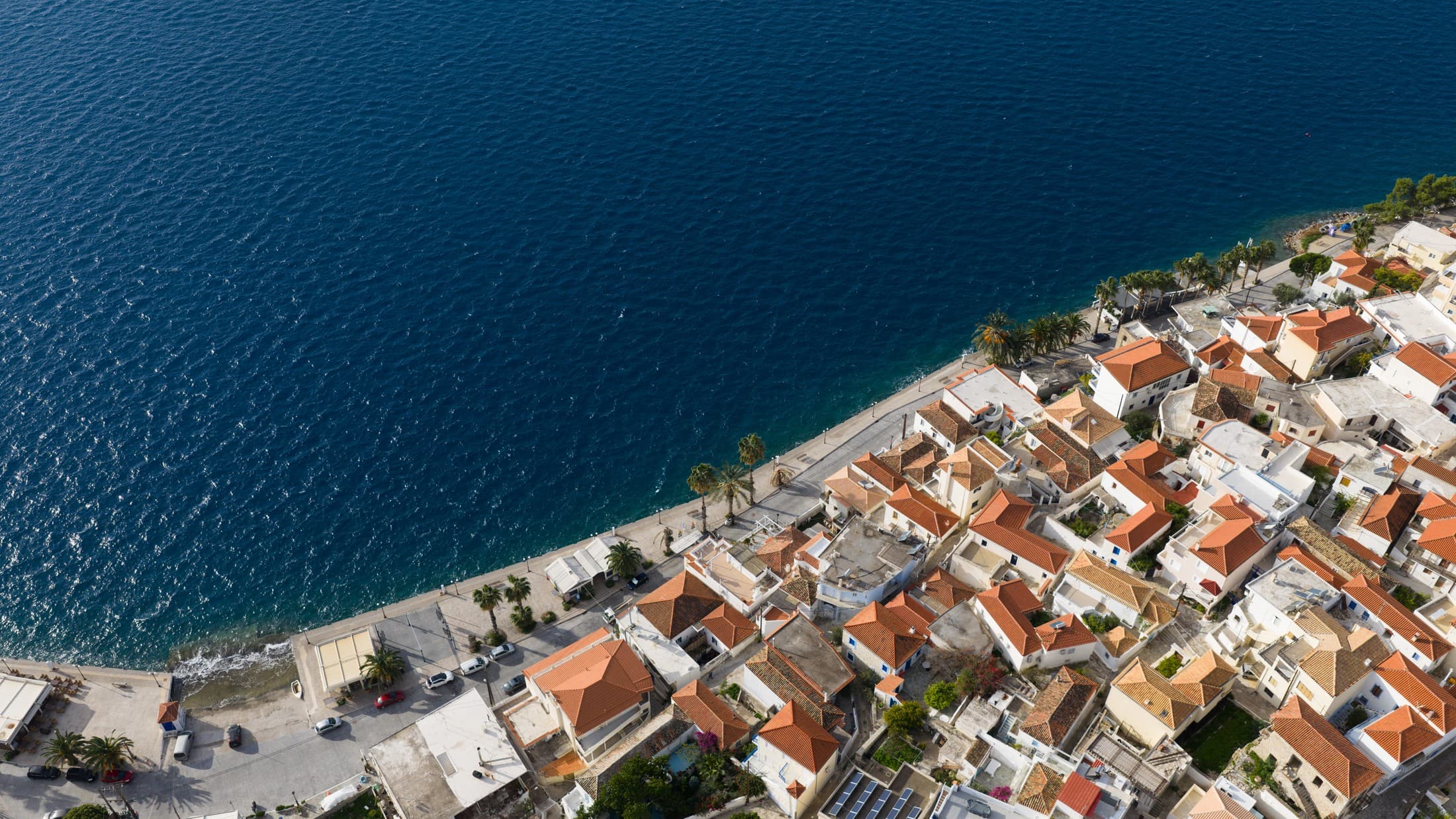 Alt text not provided