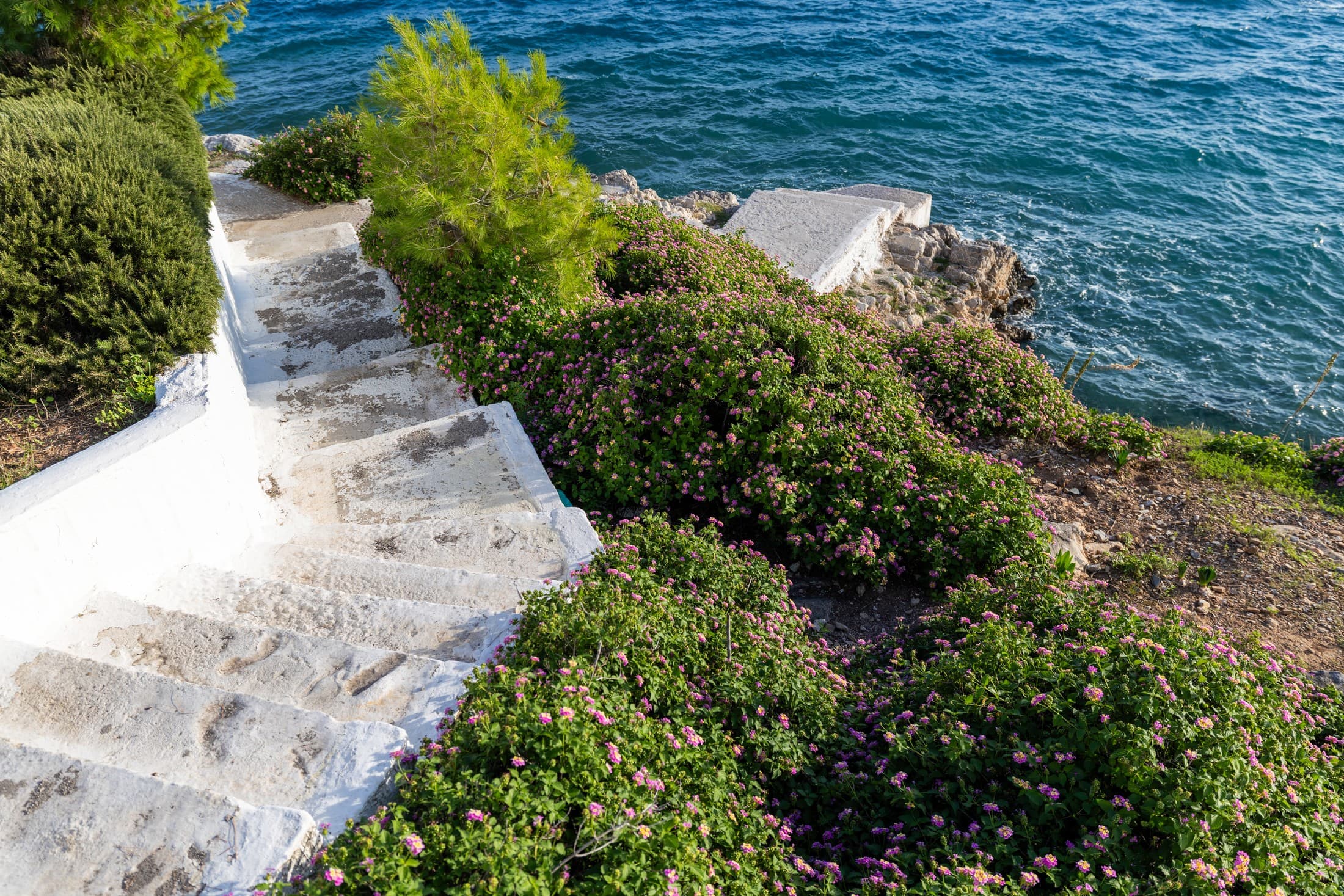 Alt text not provided