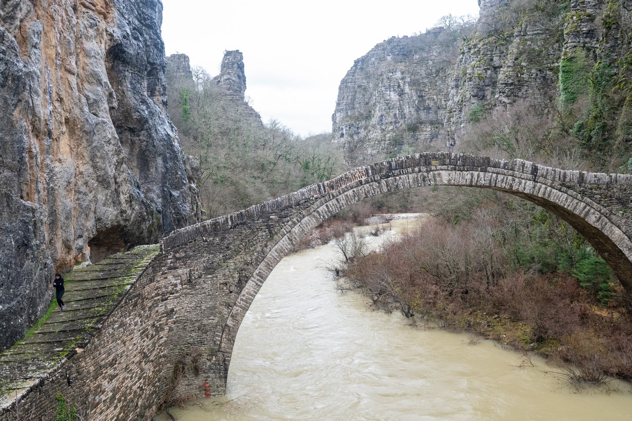 Alt text not provided