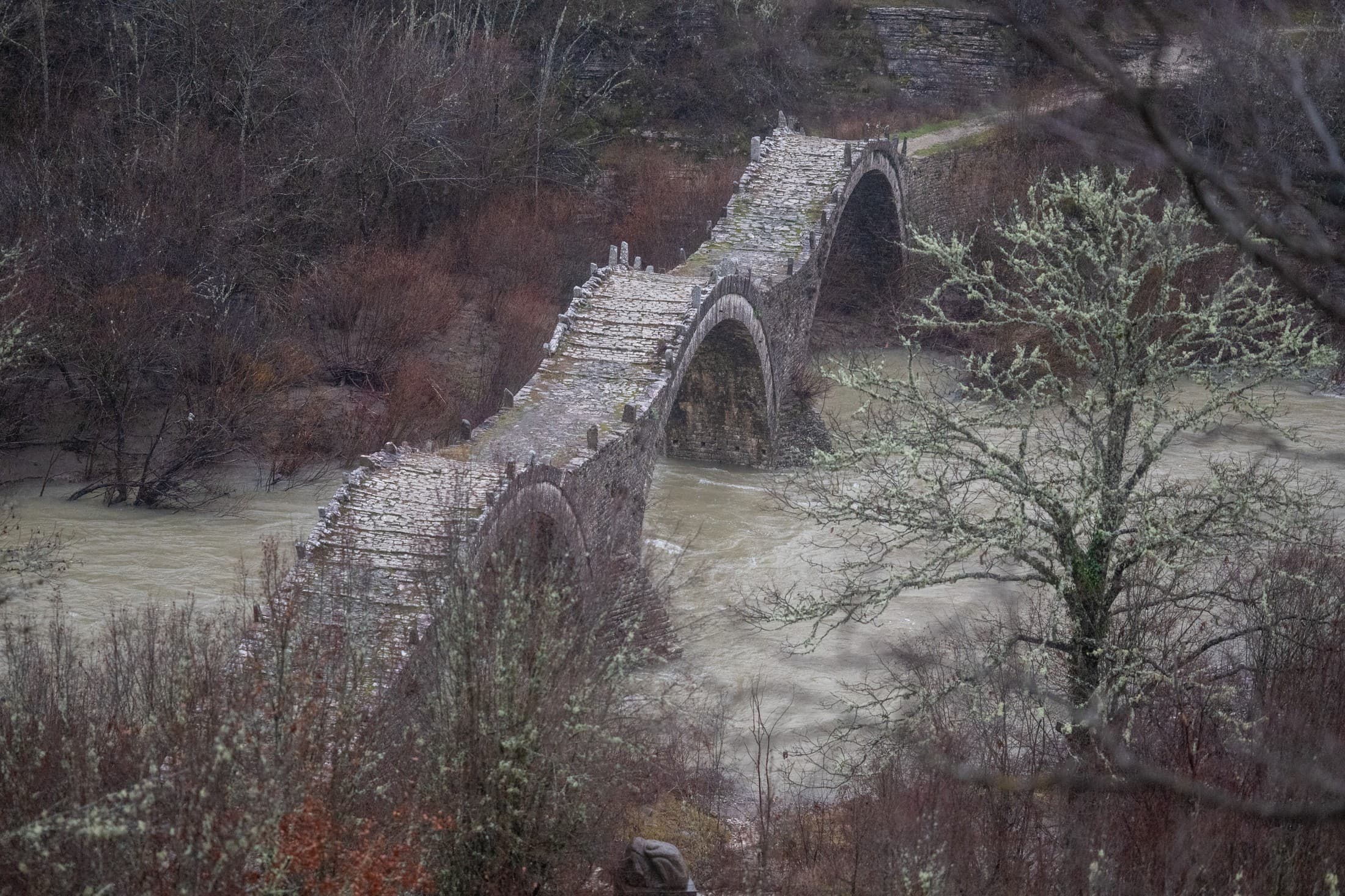 Alt text not provided