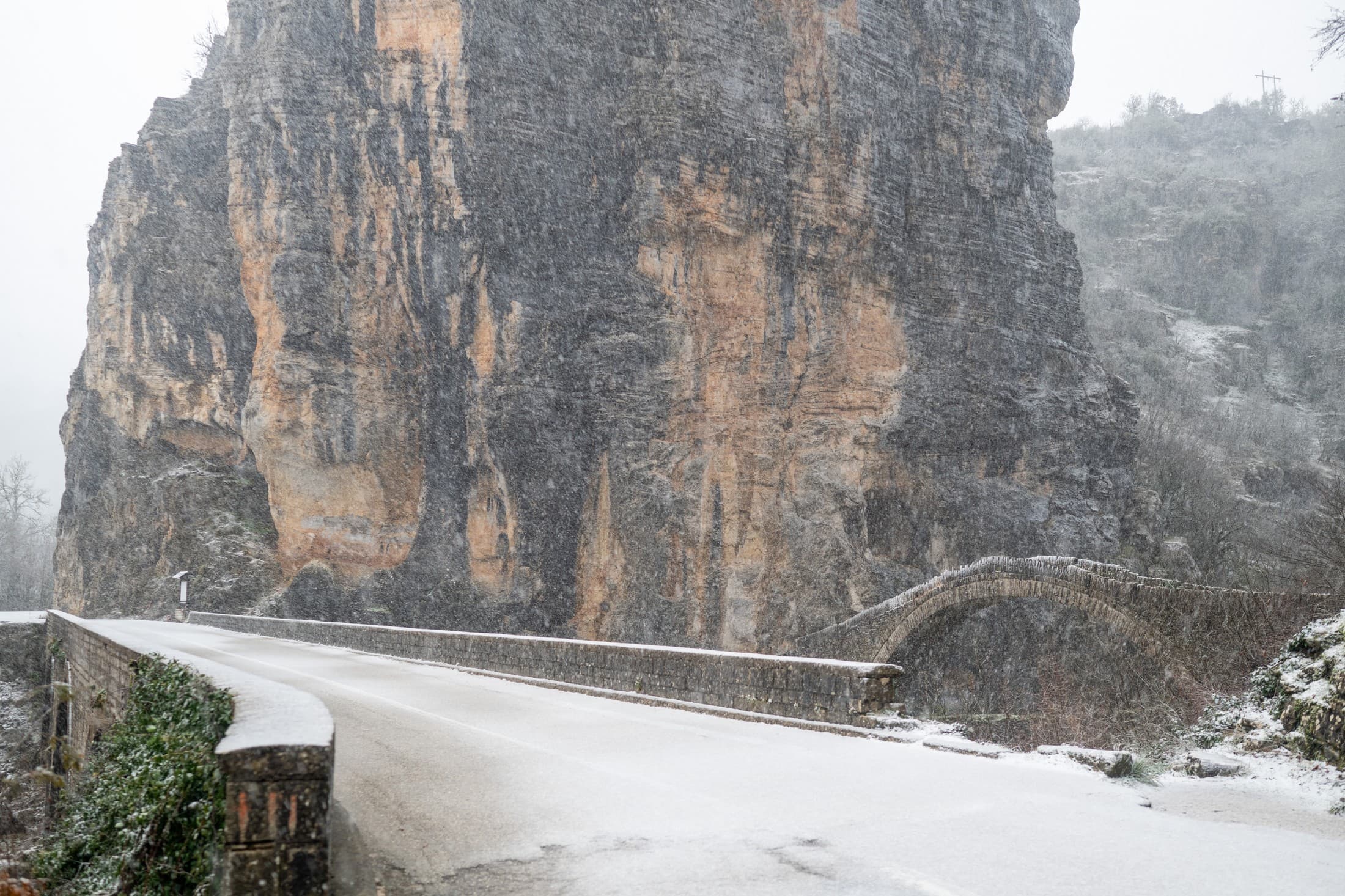 Alt text not provided