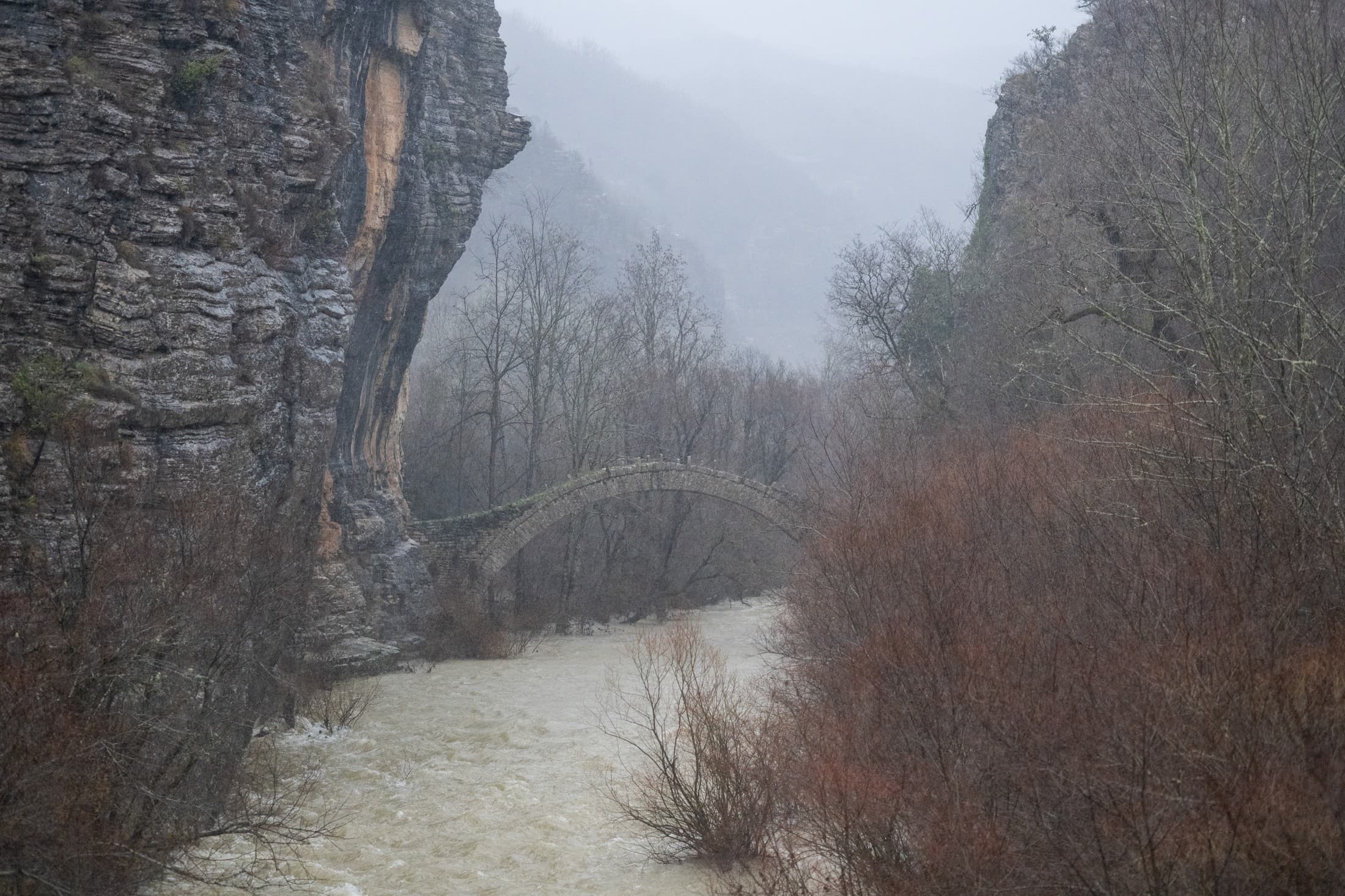 Alt text not provided