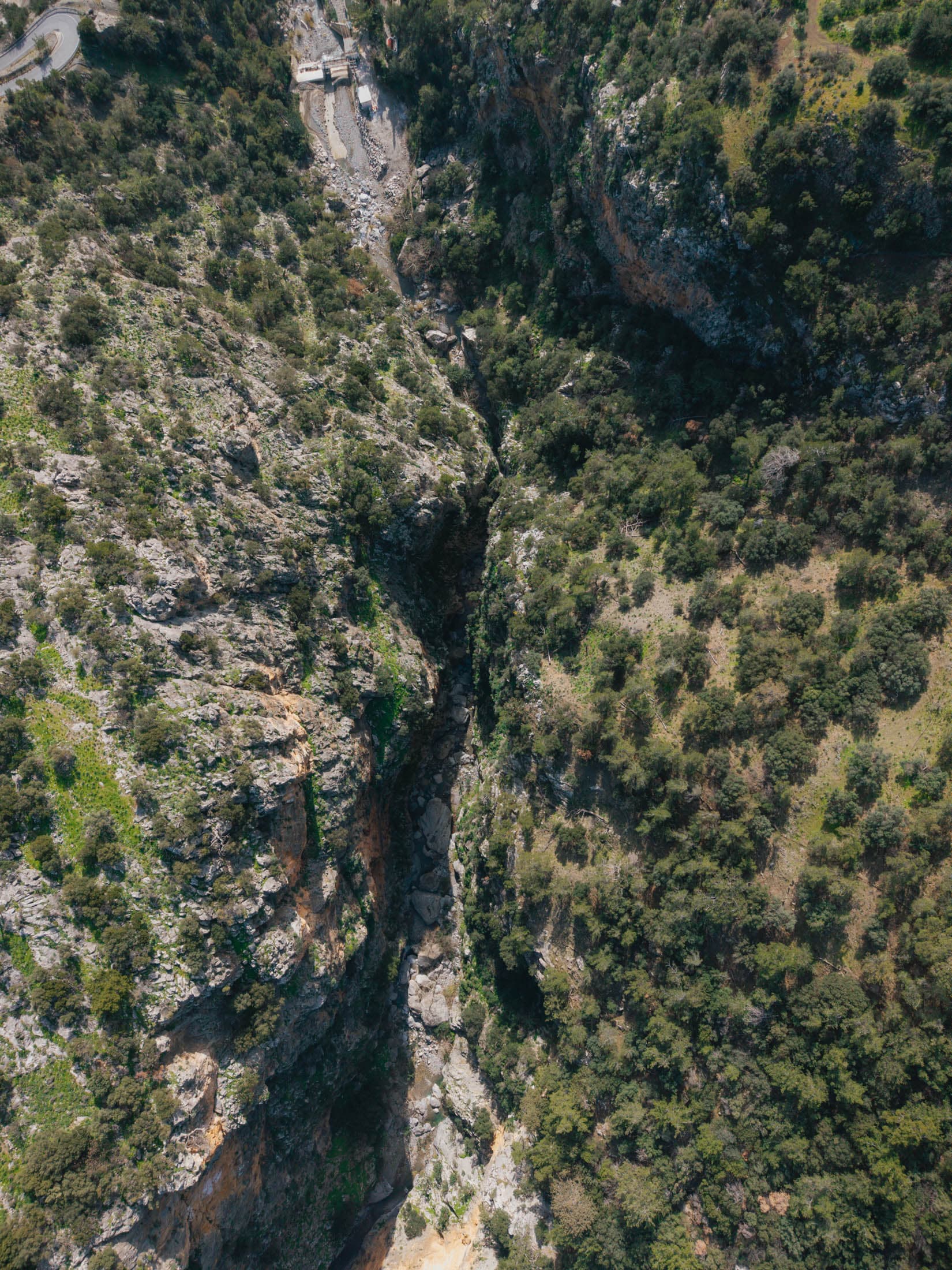 Alt text not provided