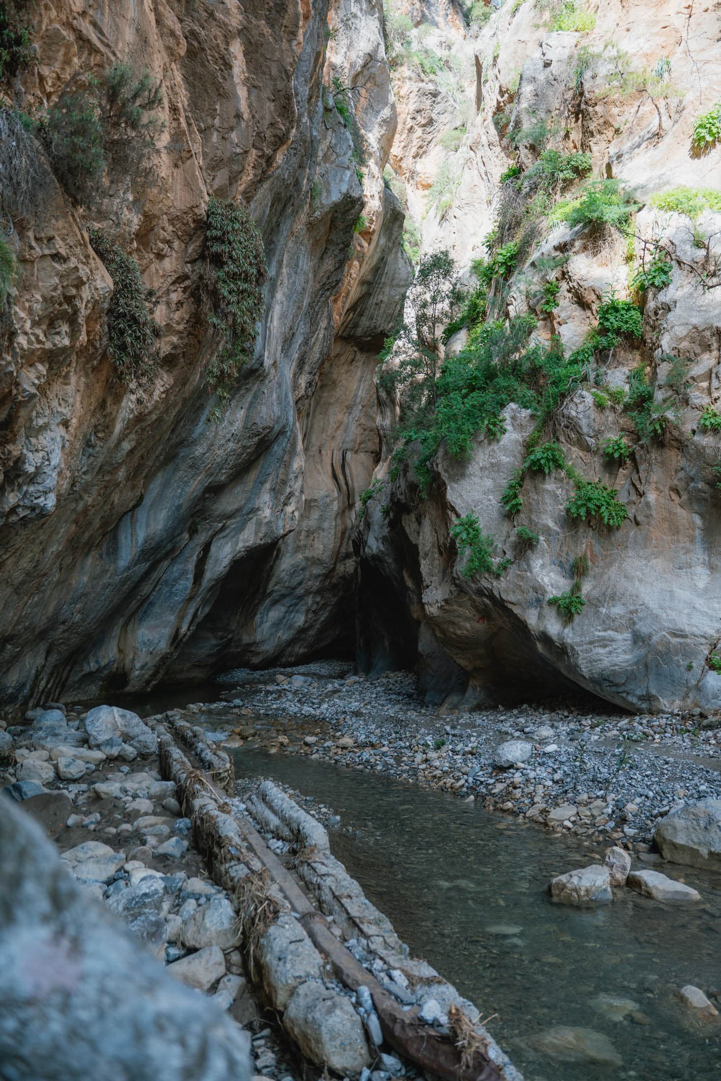 Alt text not provided