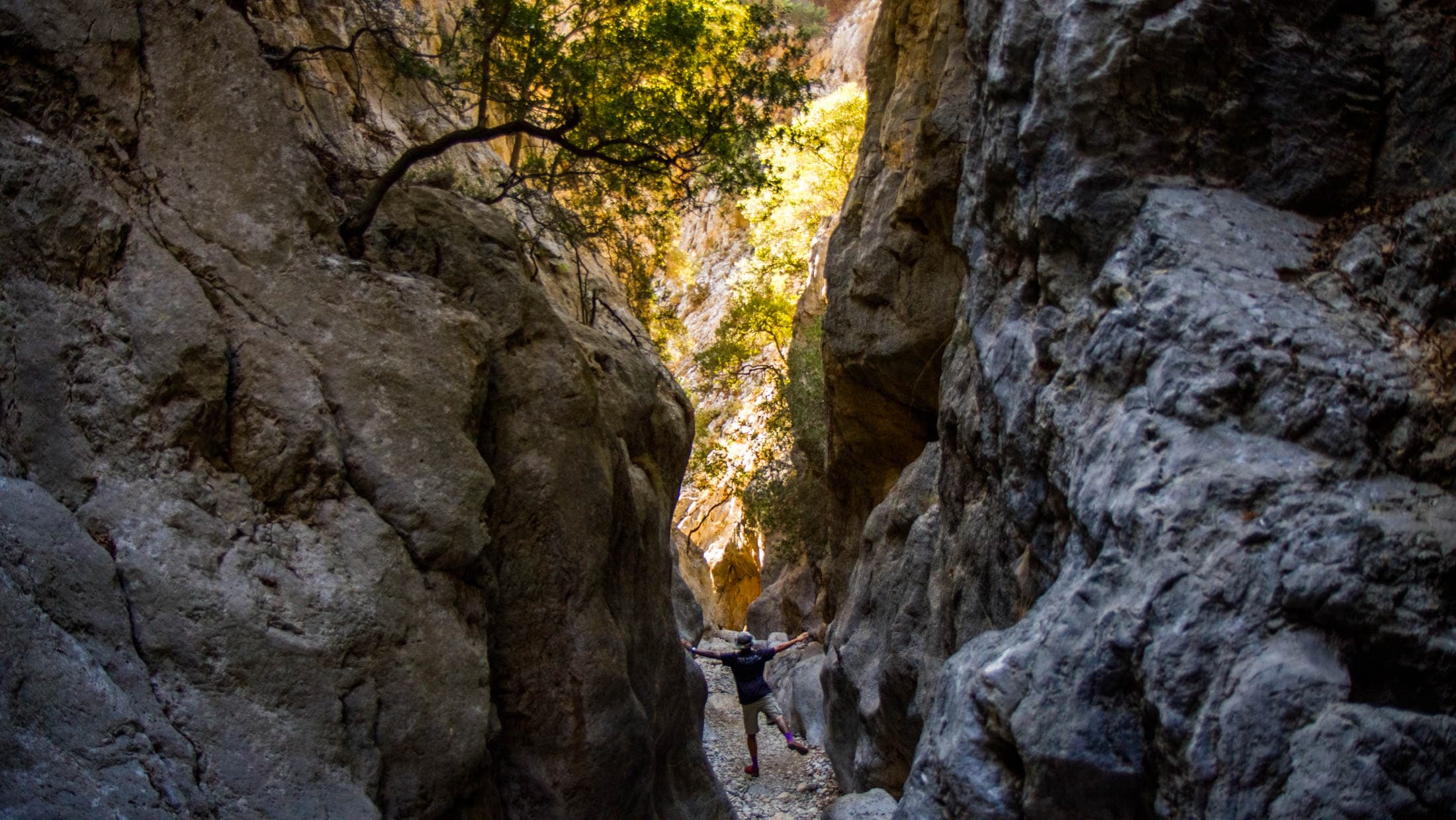 Alt text not provided