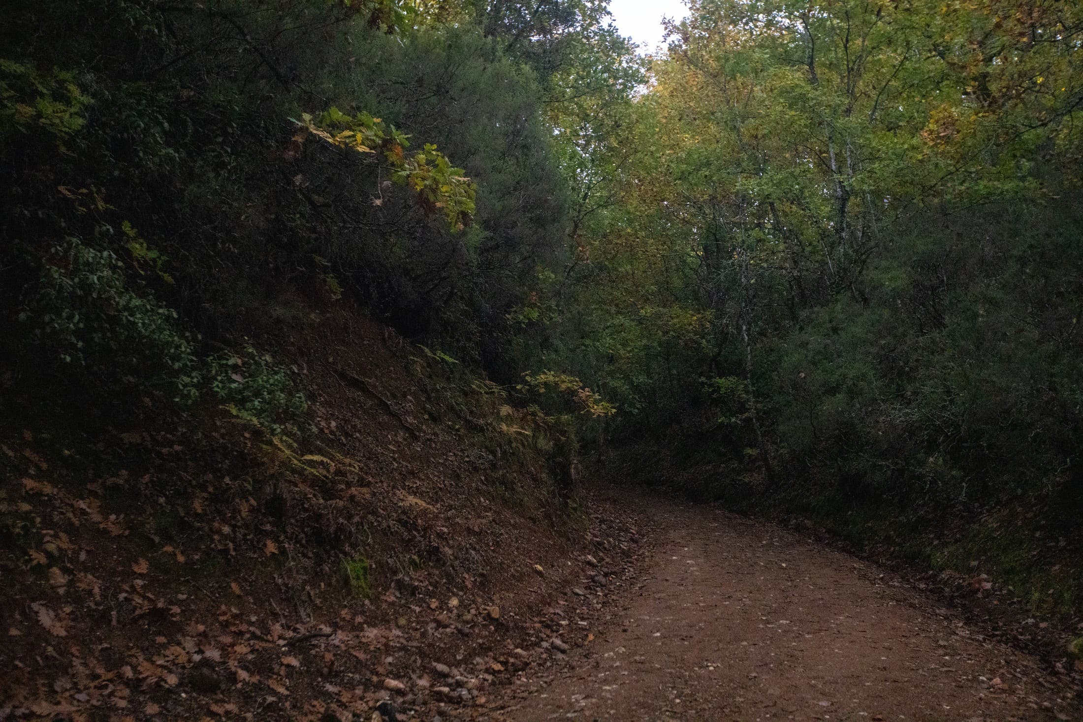 Alt text not provided