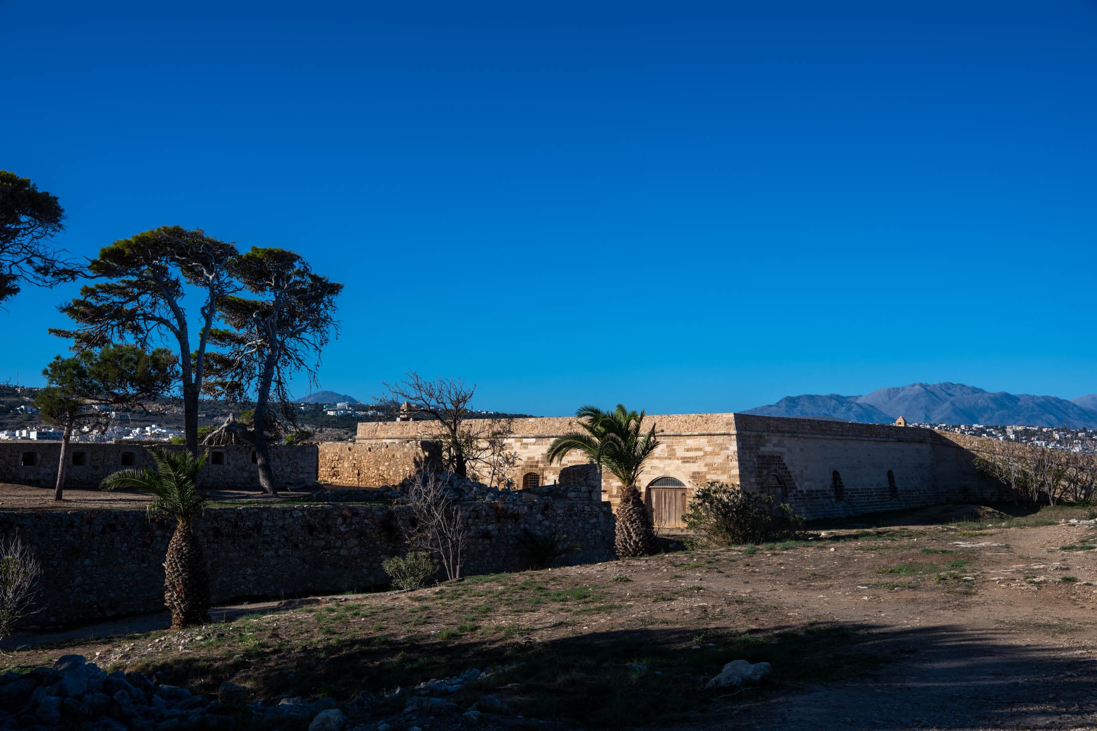 Alt text not provided