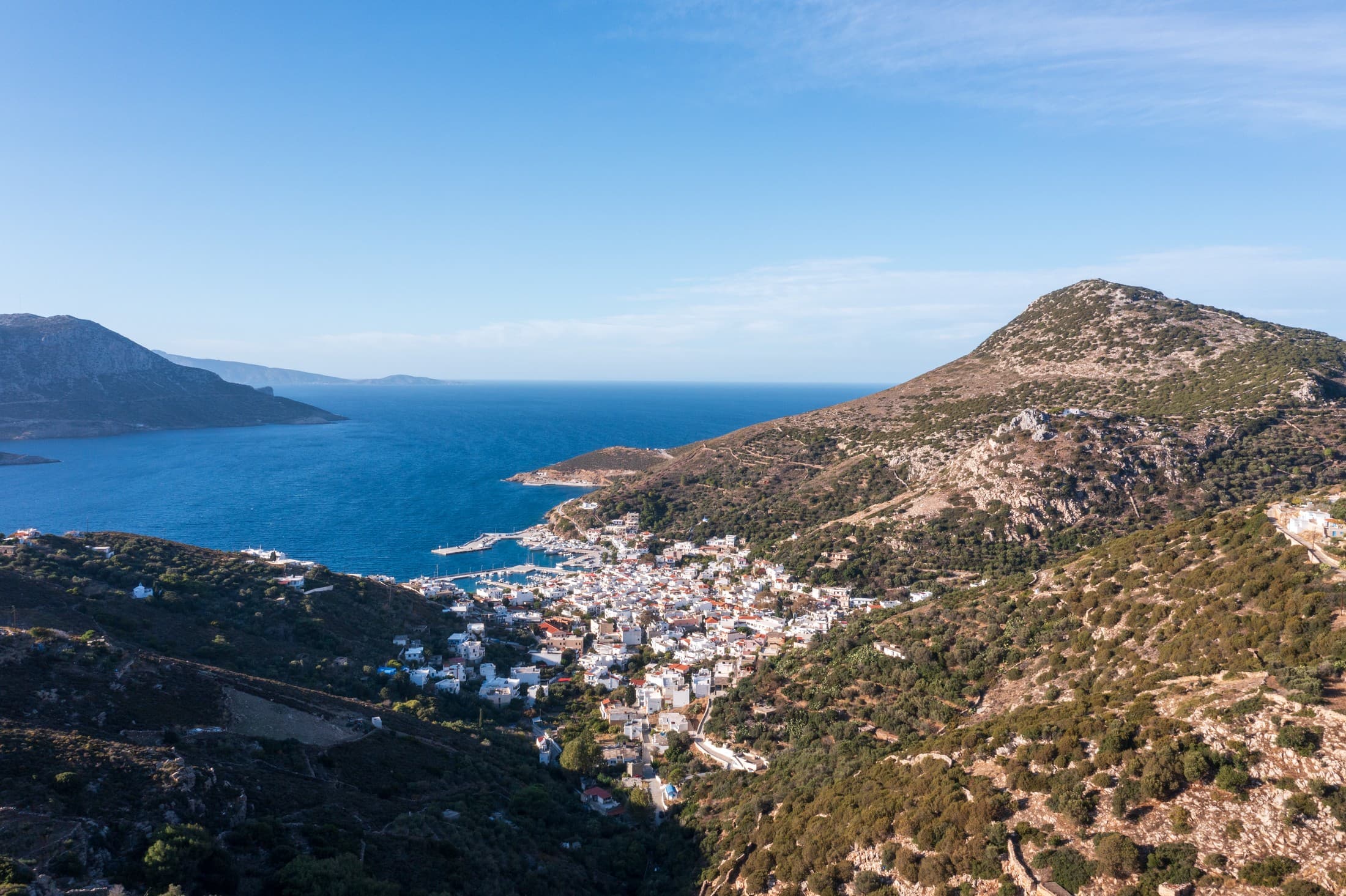 Alt text not provided