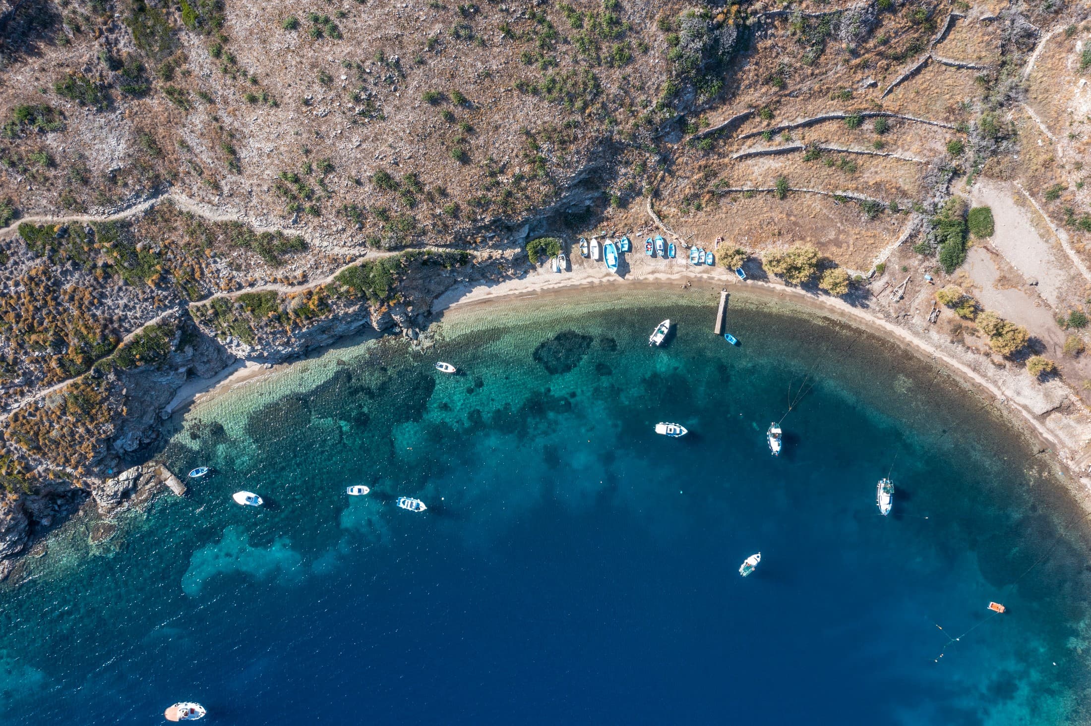 Alt text not provided