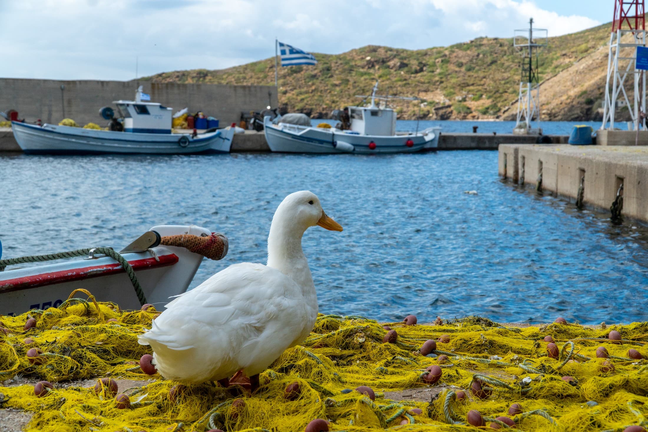 Alt text not provided