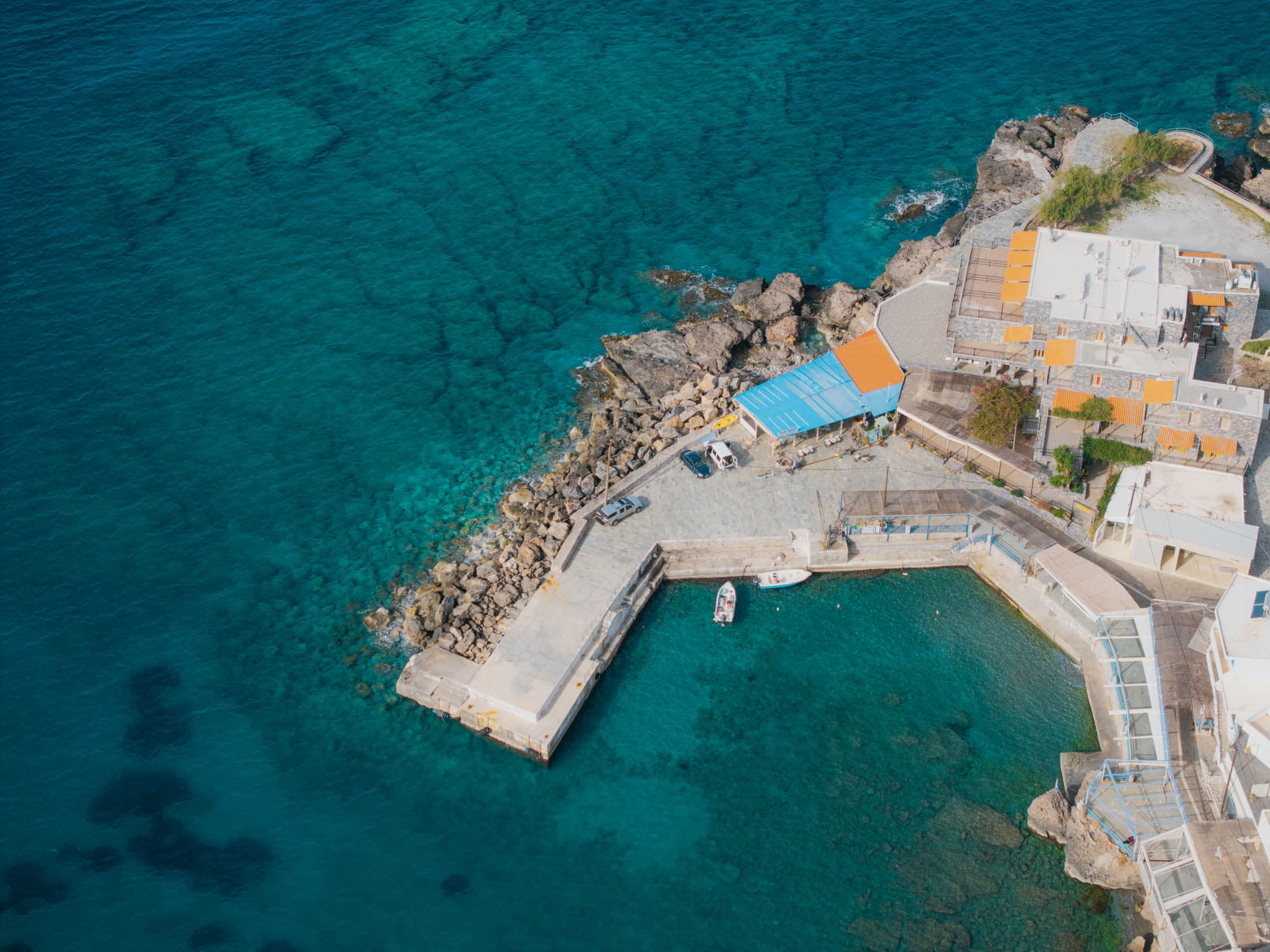 Alt text not provided