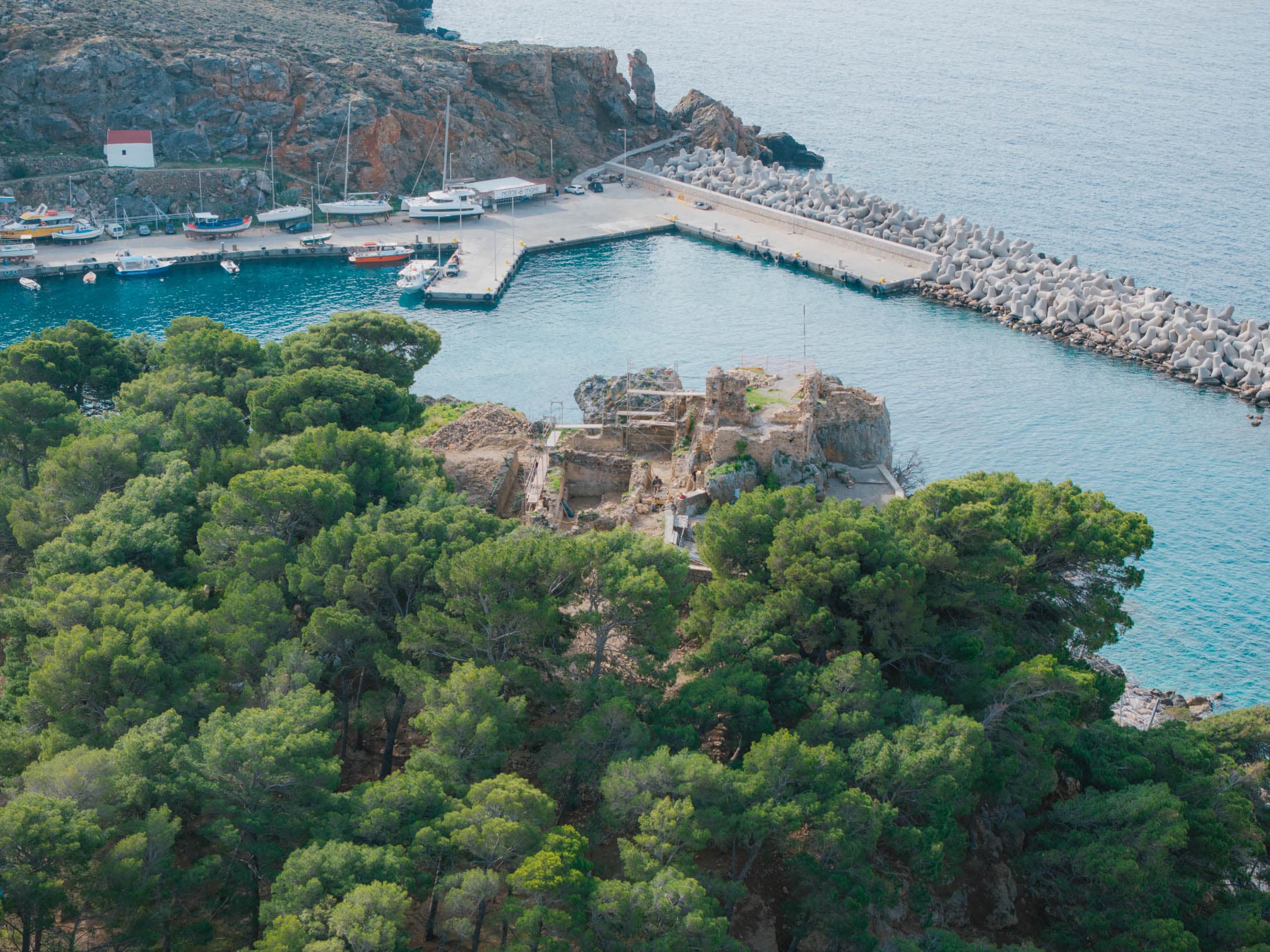 Alt text not provided