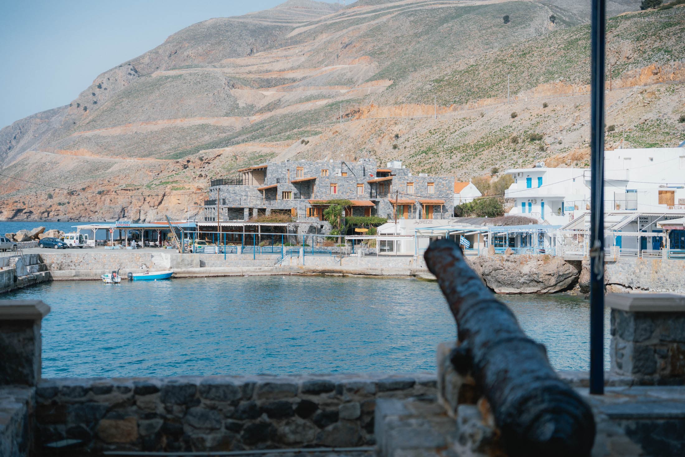 Alt text not provided