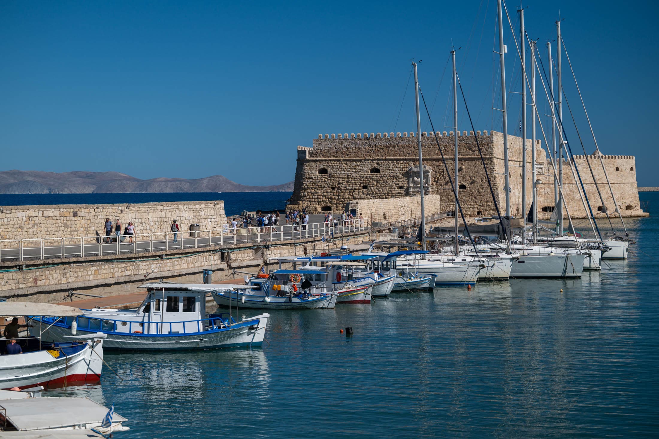 Alt text not provided