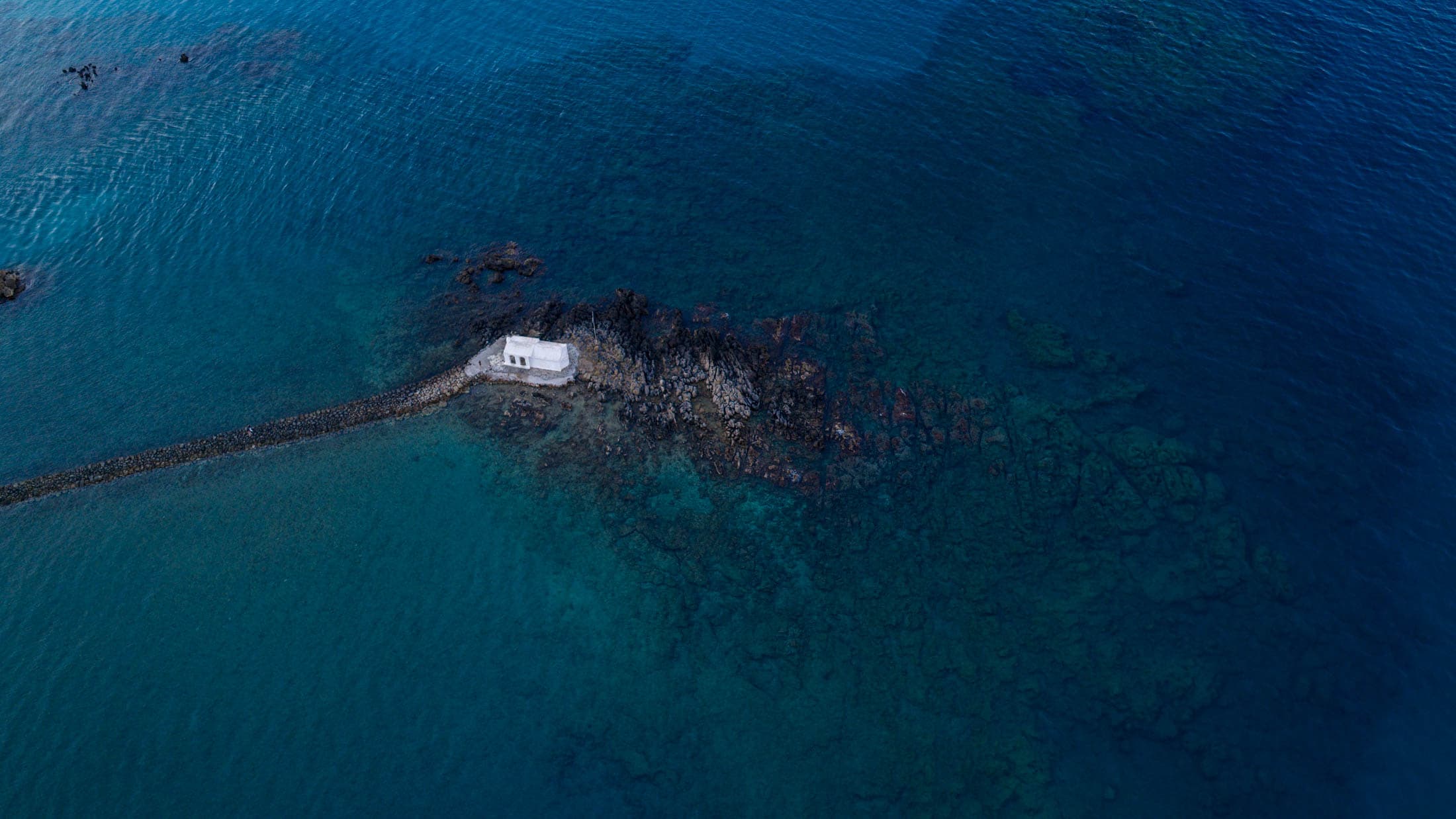 Alt text not provided