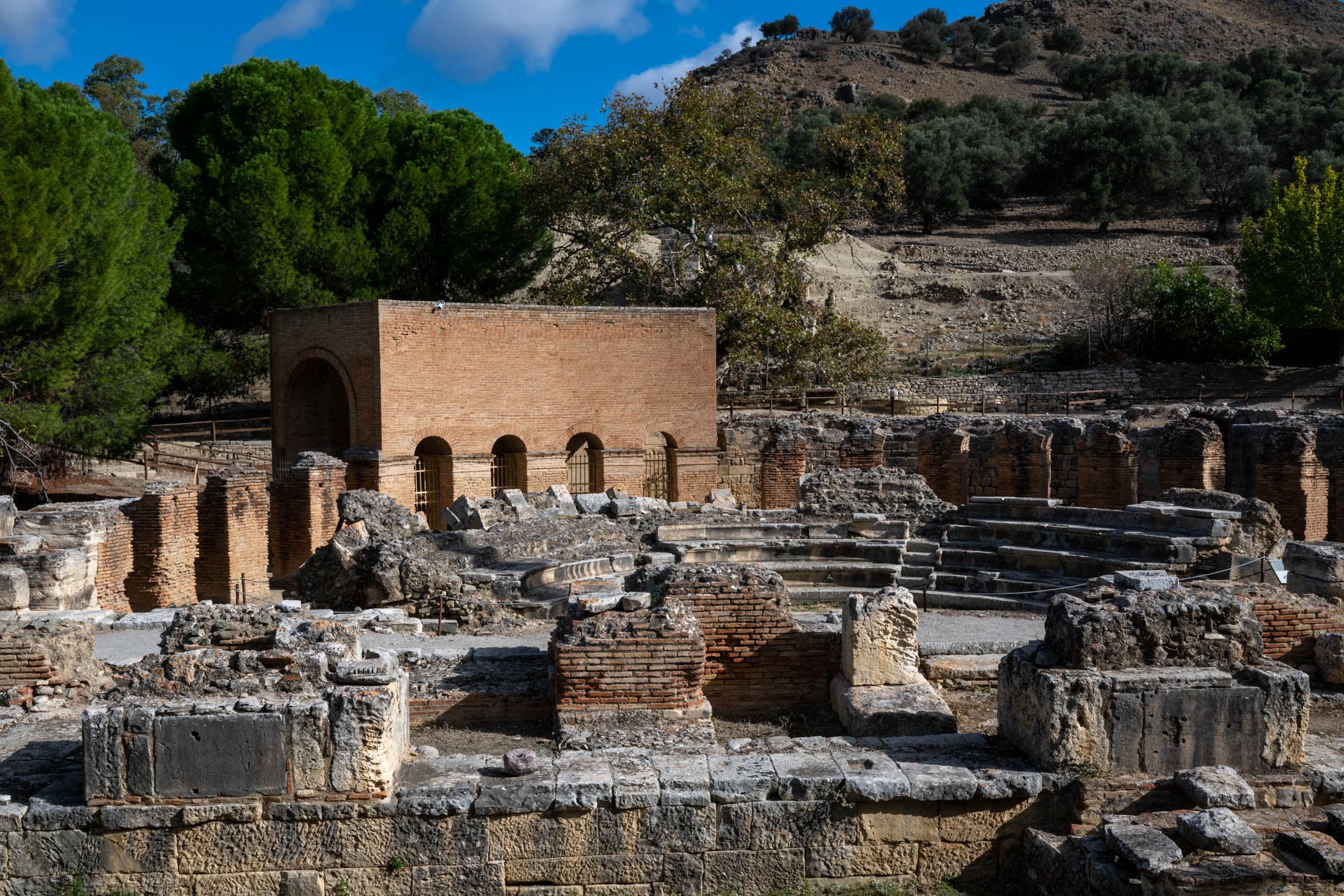 Alt text not provided