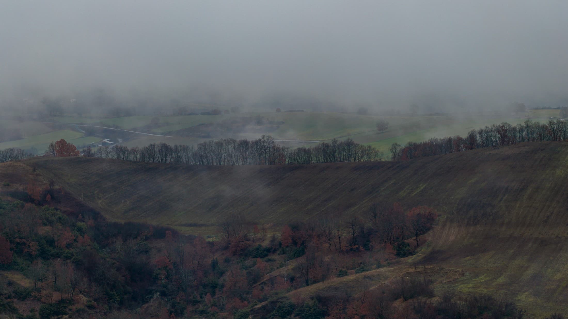 Alt text not provided