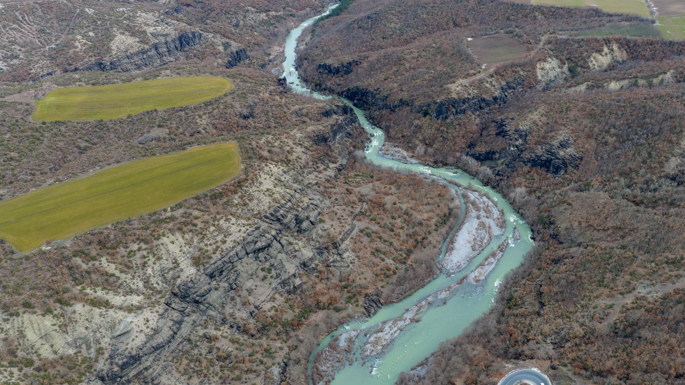 Alt text not provided