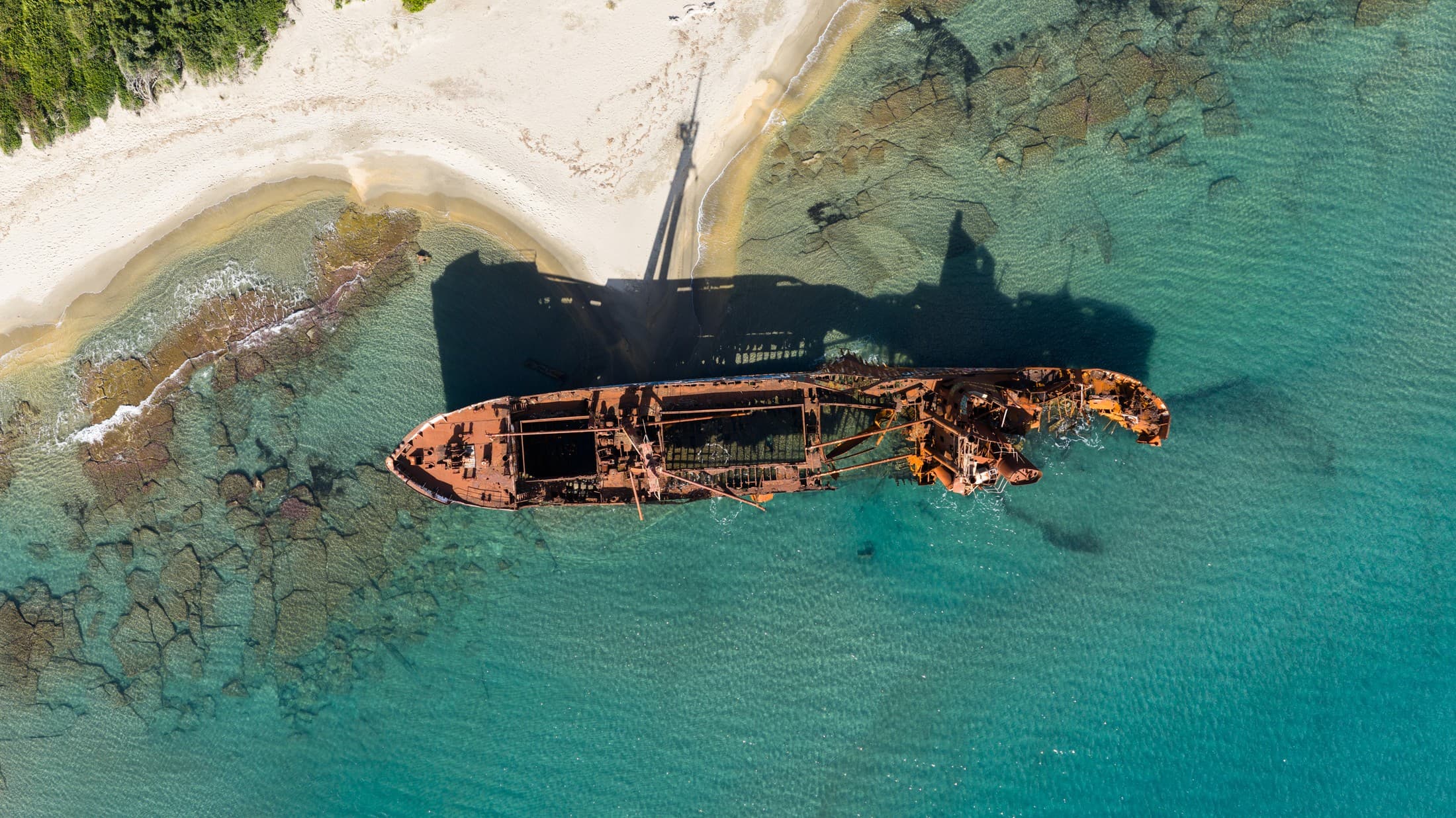 Alt text not provided