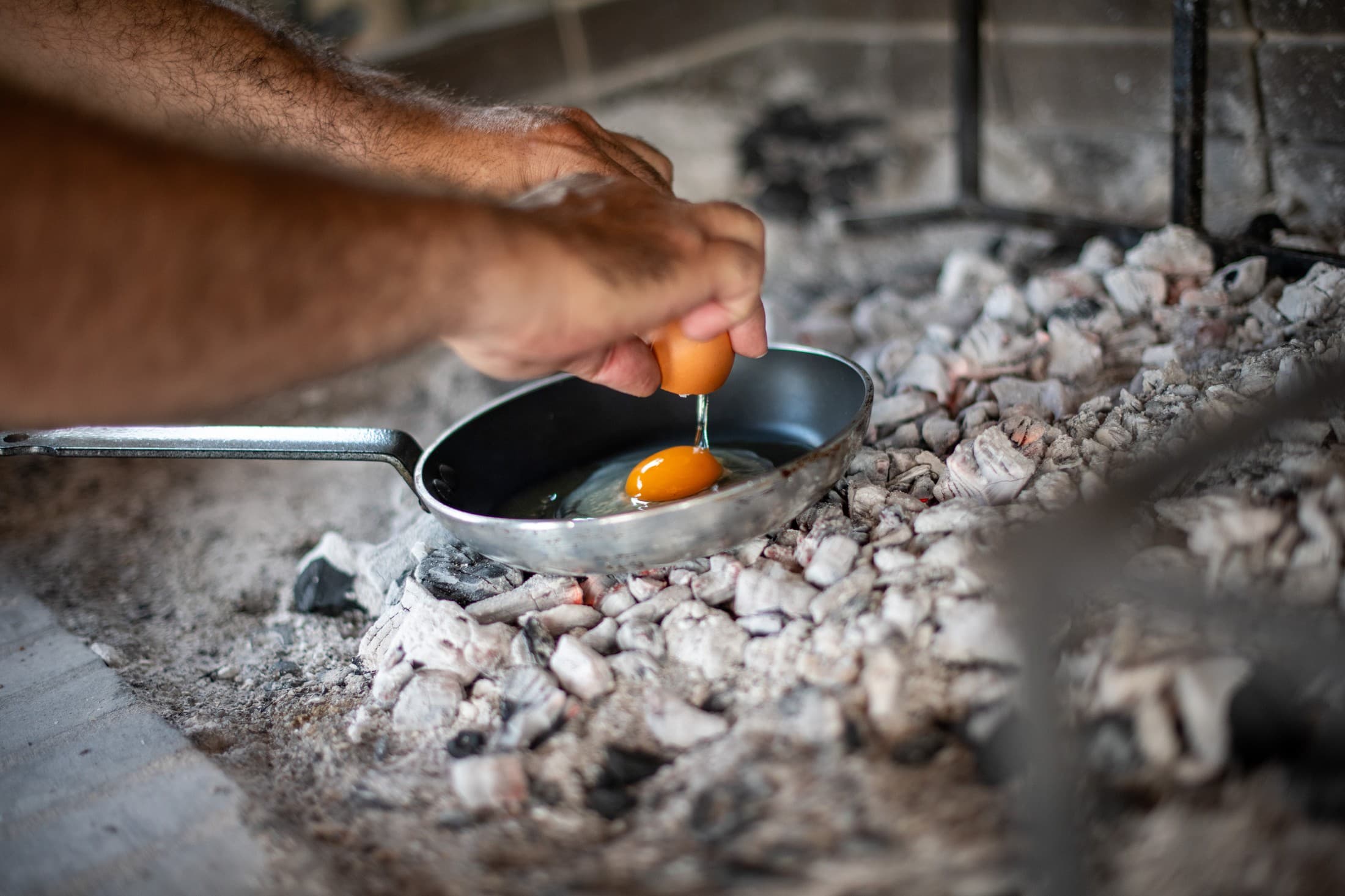 Alt text not provided