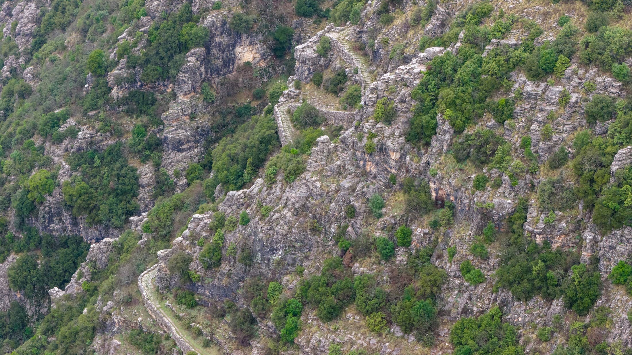 Alt text not provided