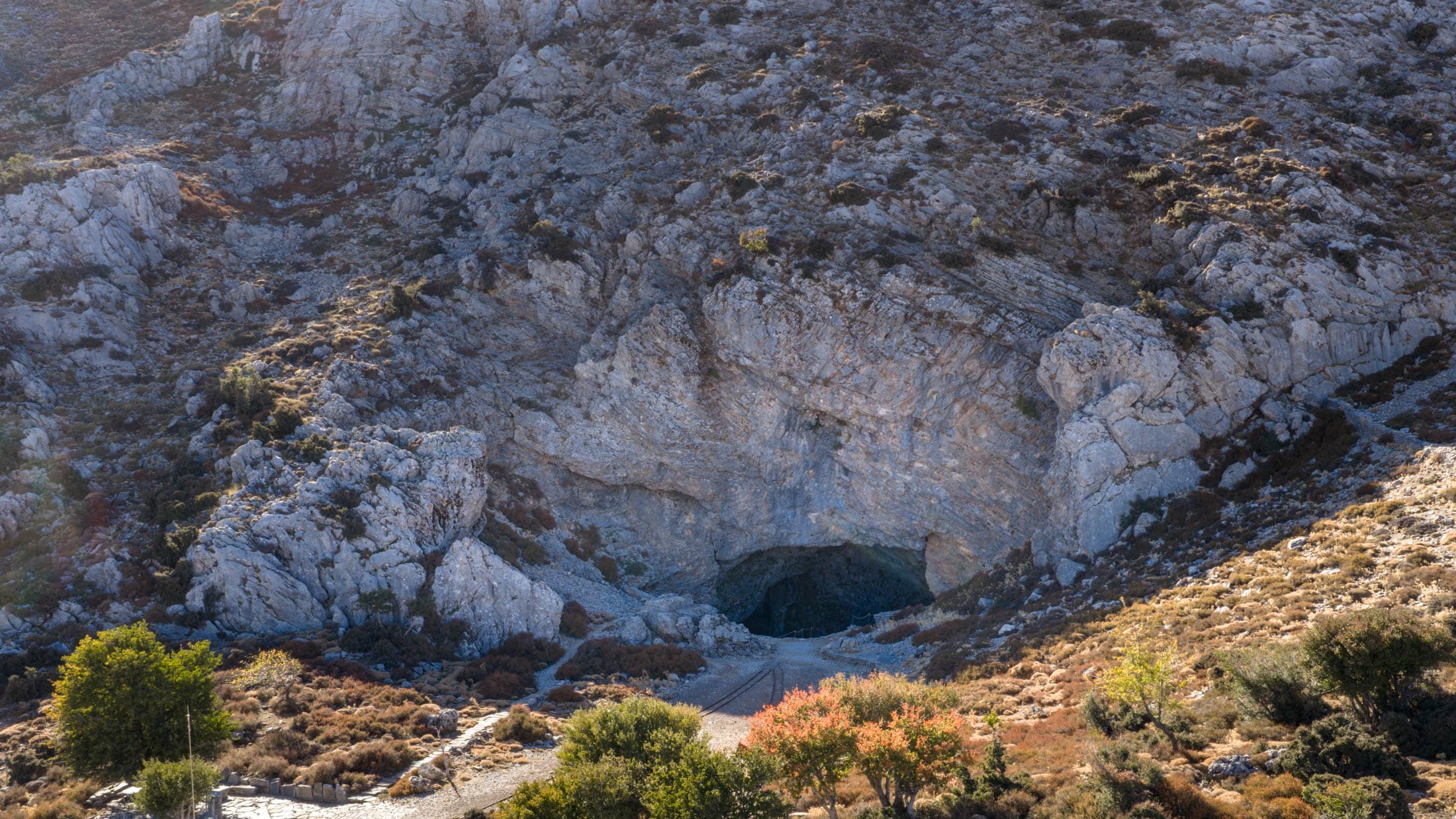 Alt text not provided