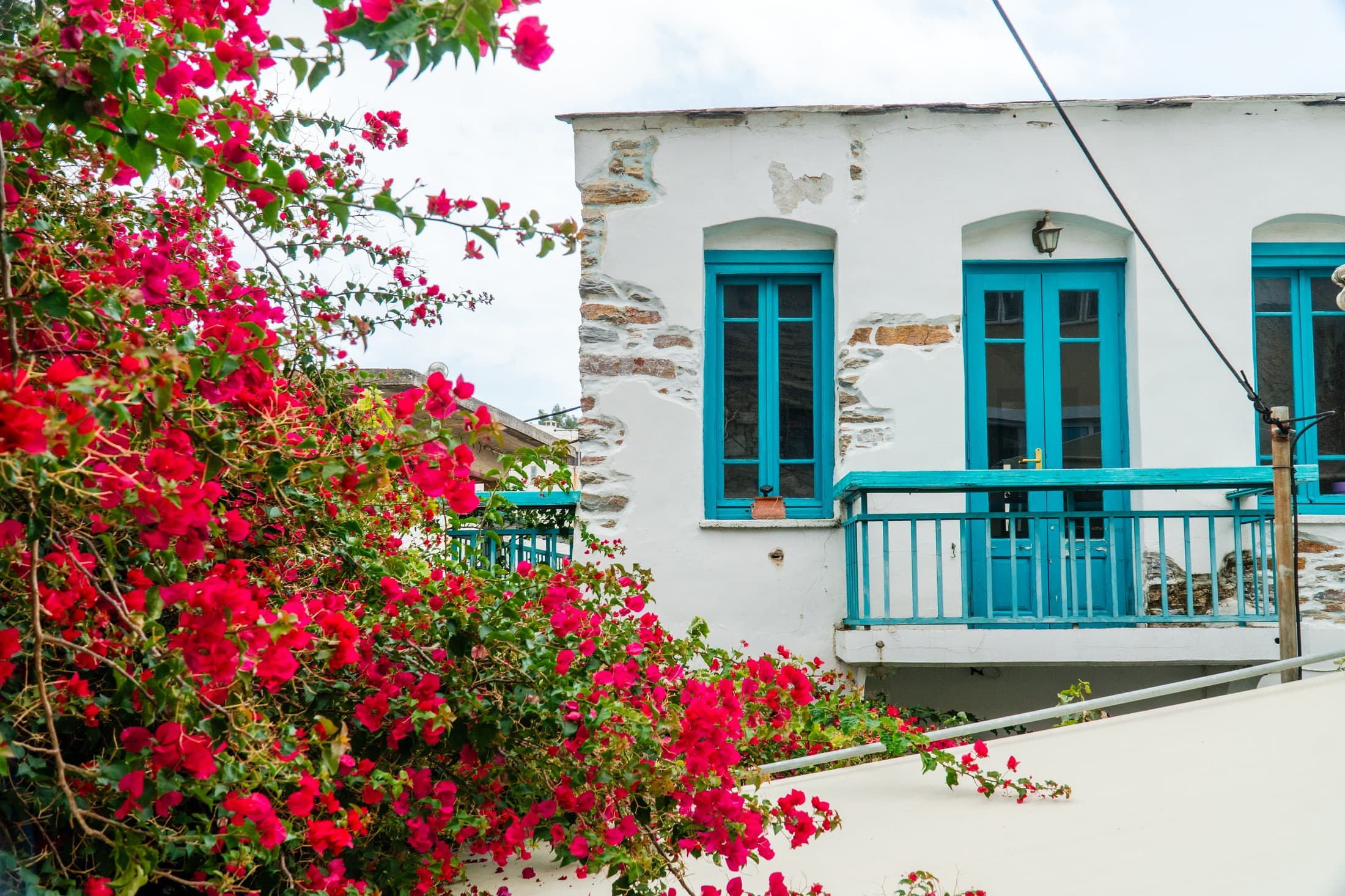 Alt text not provided