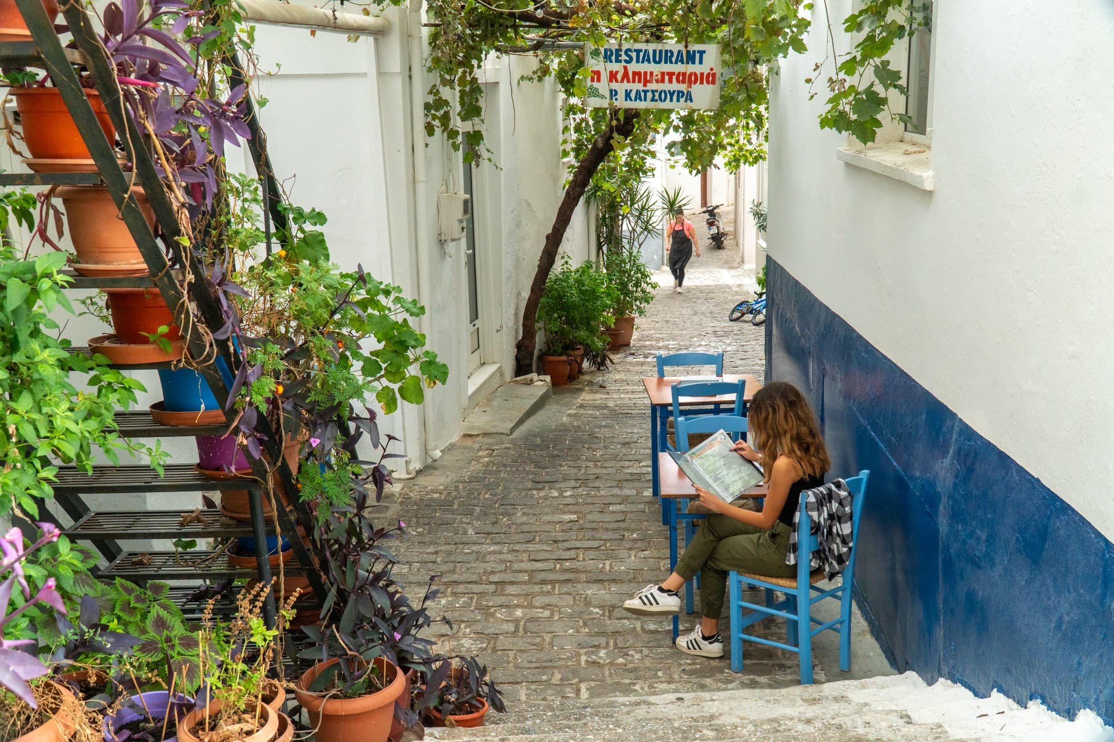 Alt text not provided