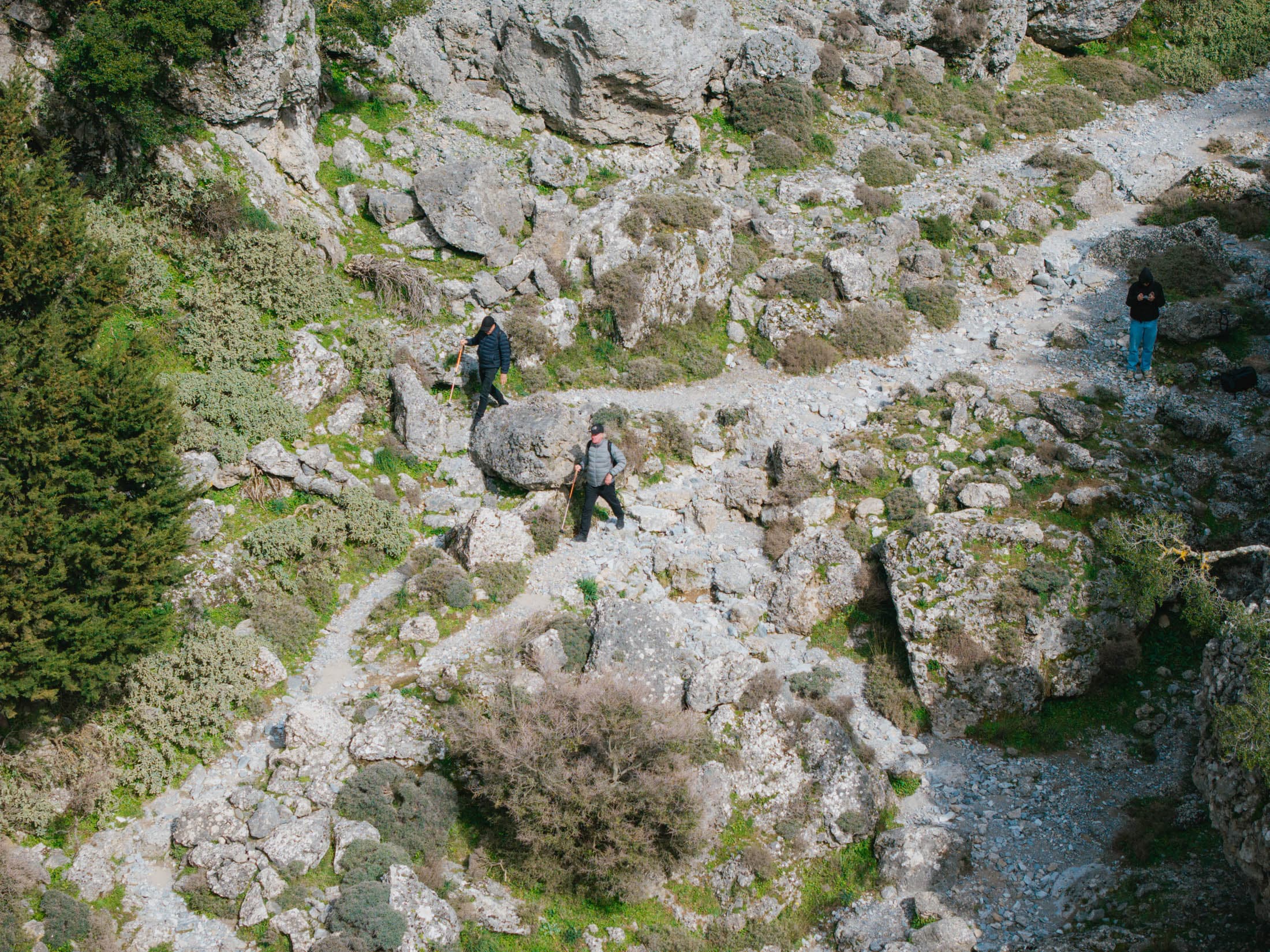 Alt text not provided